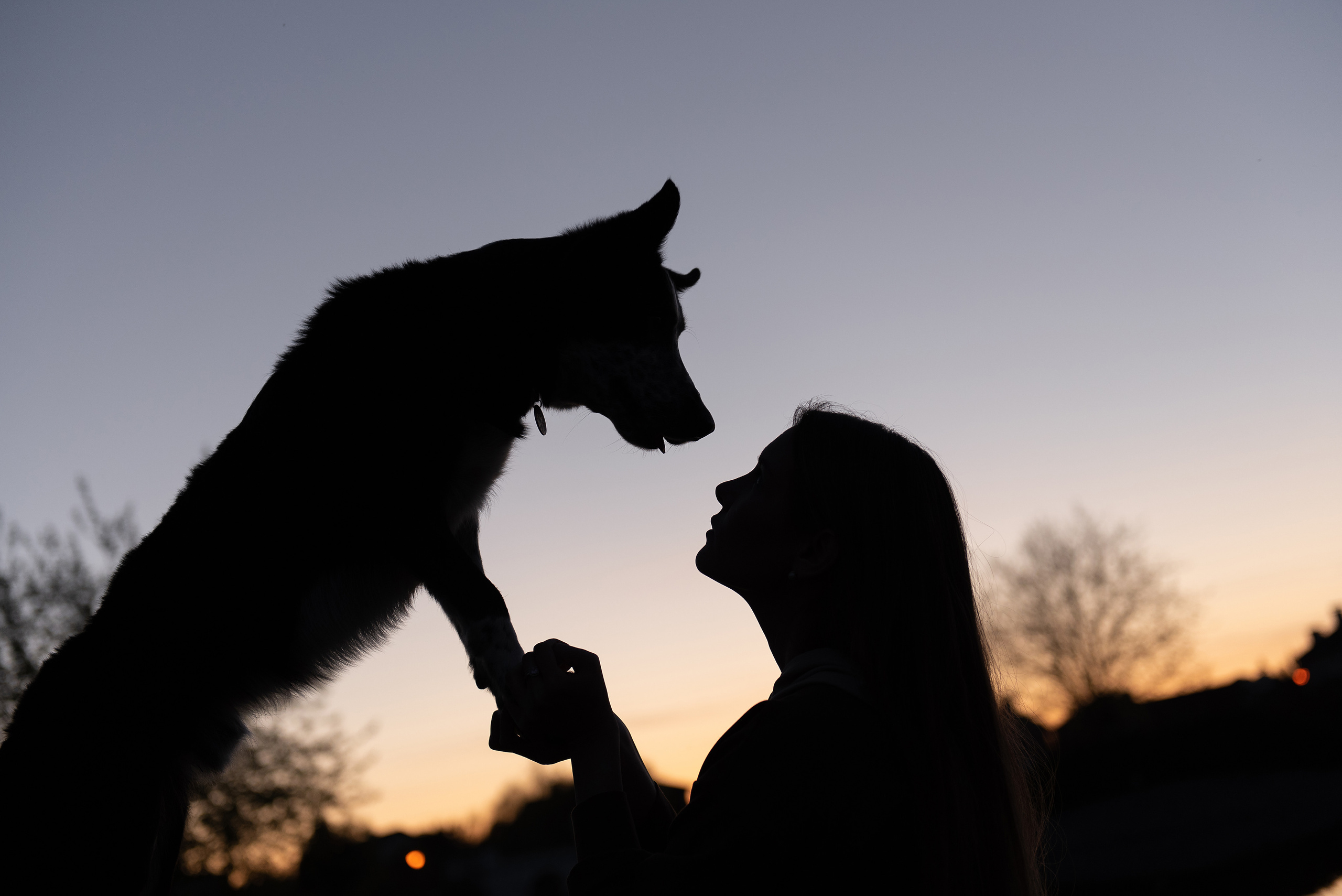 Анна и Милан. Фотограф анималист в Казани Алина Сулейманова. Фотограф животных