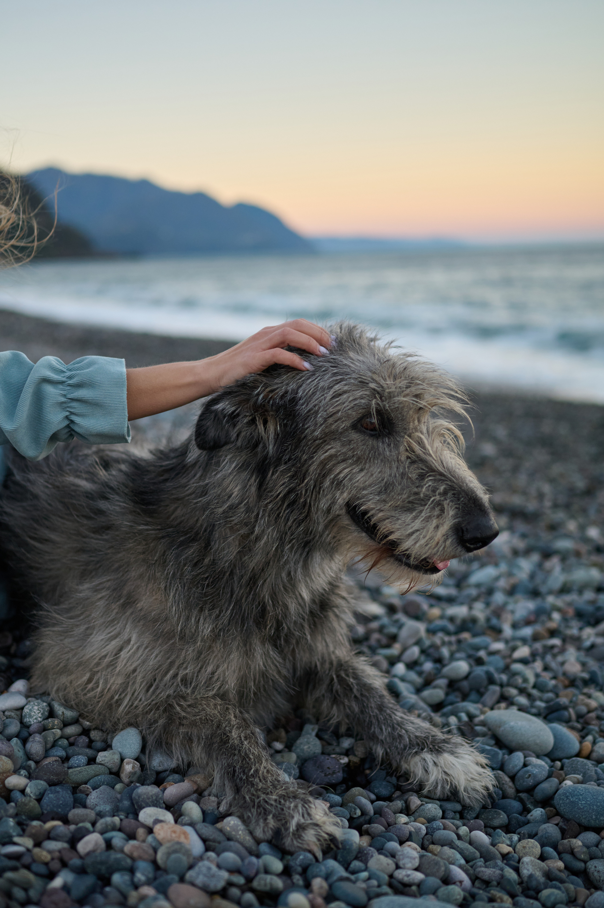 Марина и Эва. Фотограф анималист в Казани Алина Сулейманова. Фотограф животных