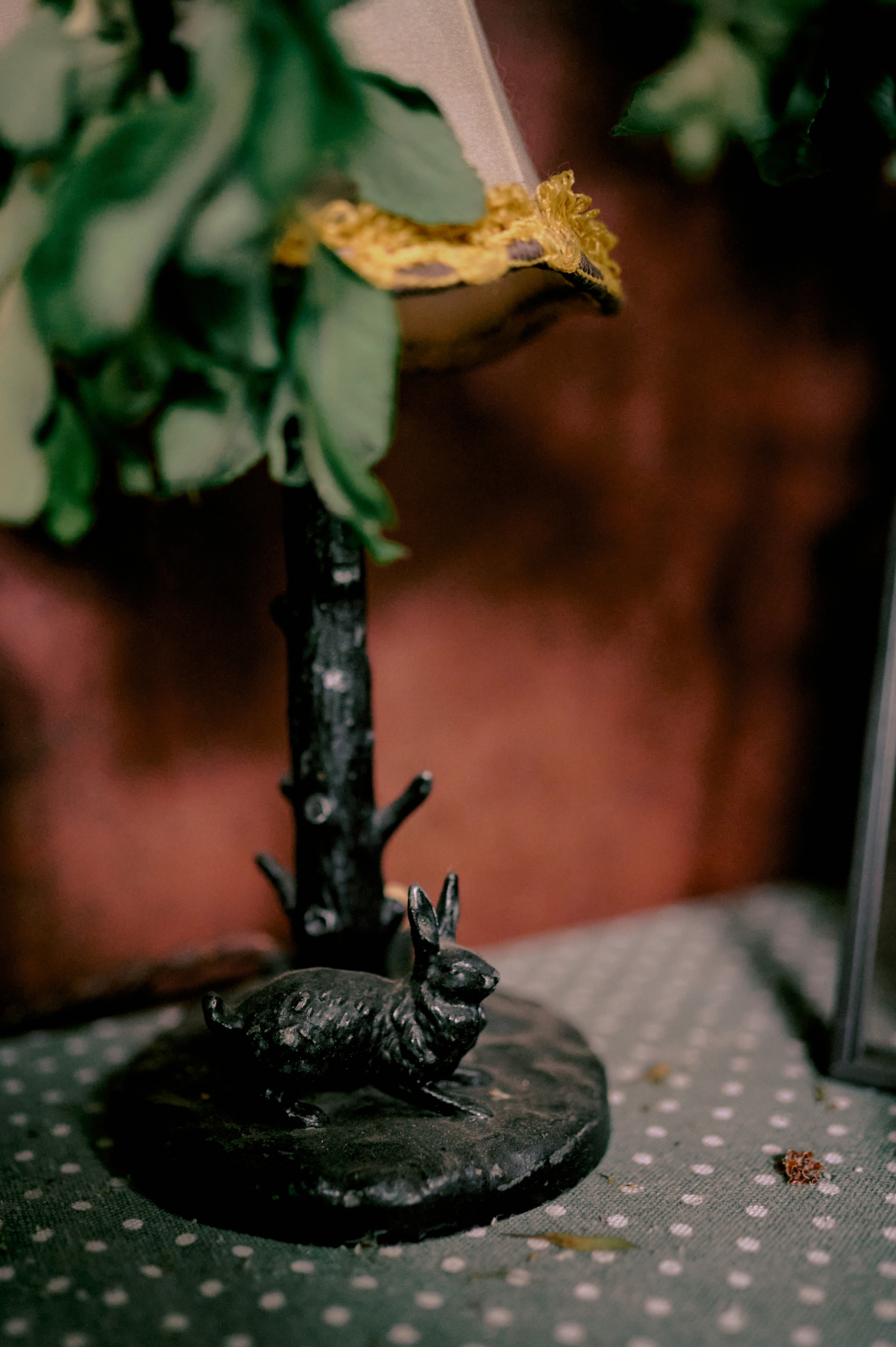 Настасья. В мастерской художника. Фотограф анималист в Казани Алина Сулейманова. Фотограф животных