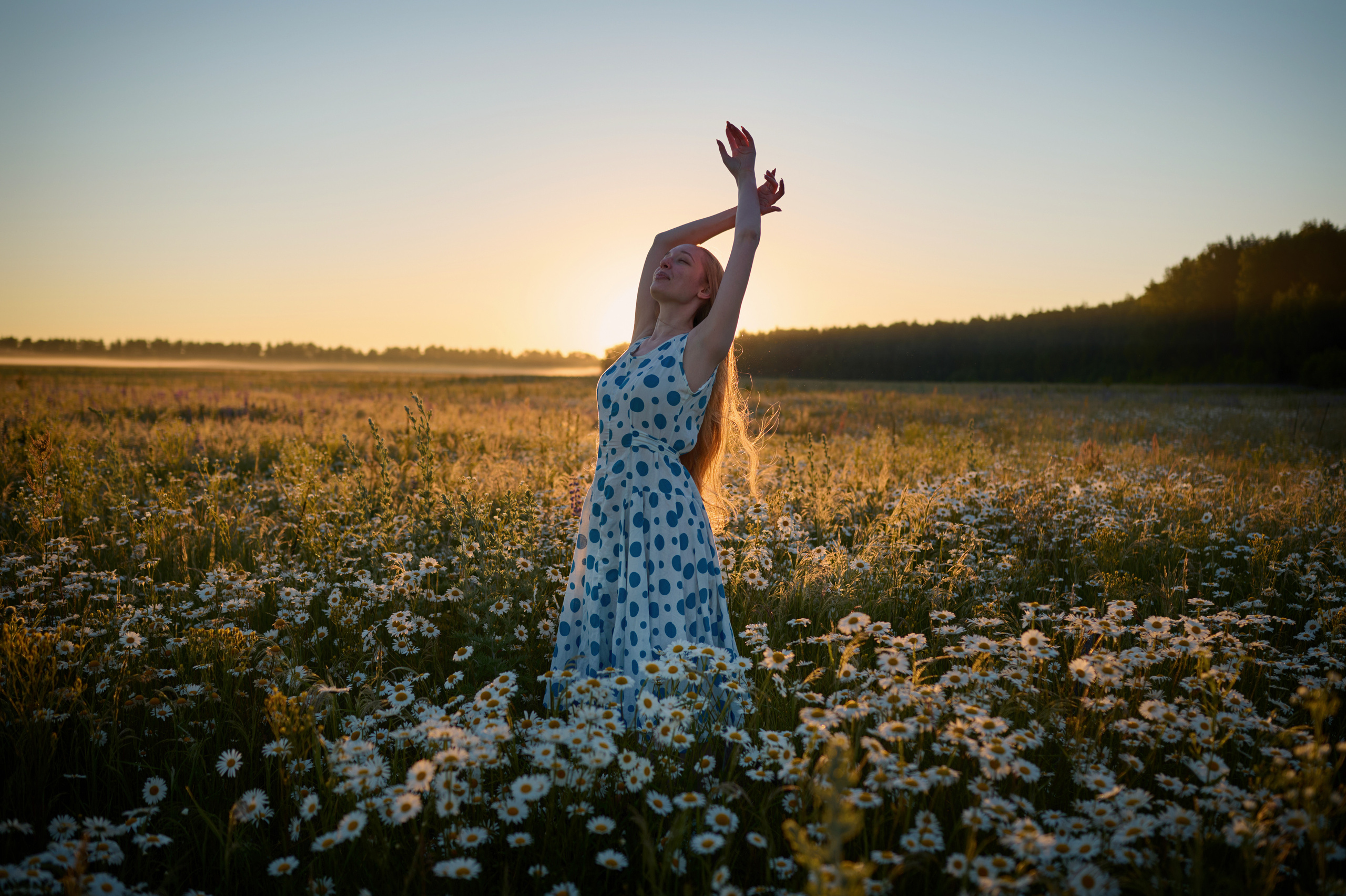 Екатерина. На заре. Фотограф анималист в Казани Алина Сулейманова. Фотограф животных