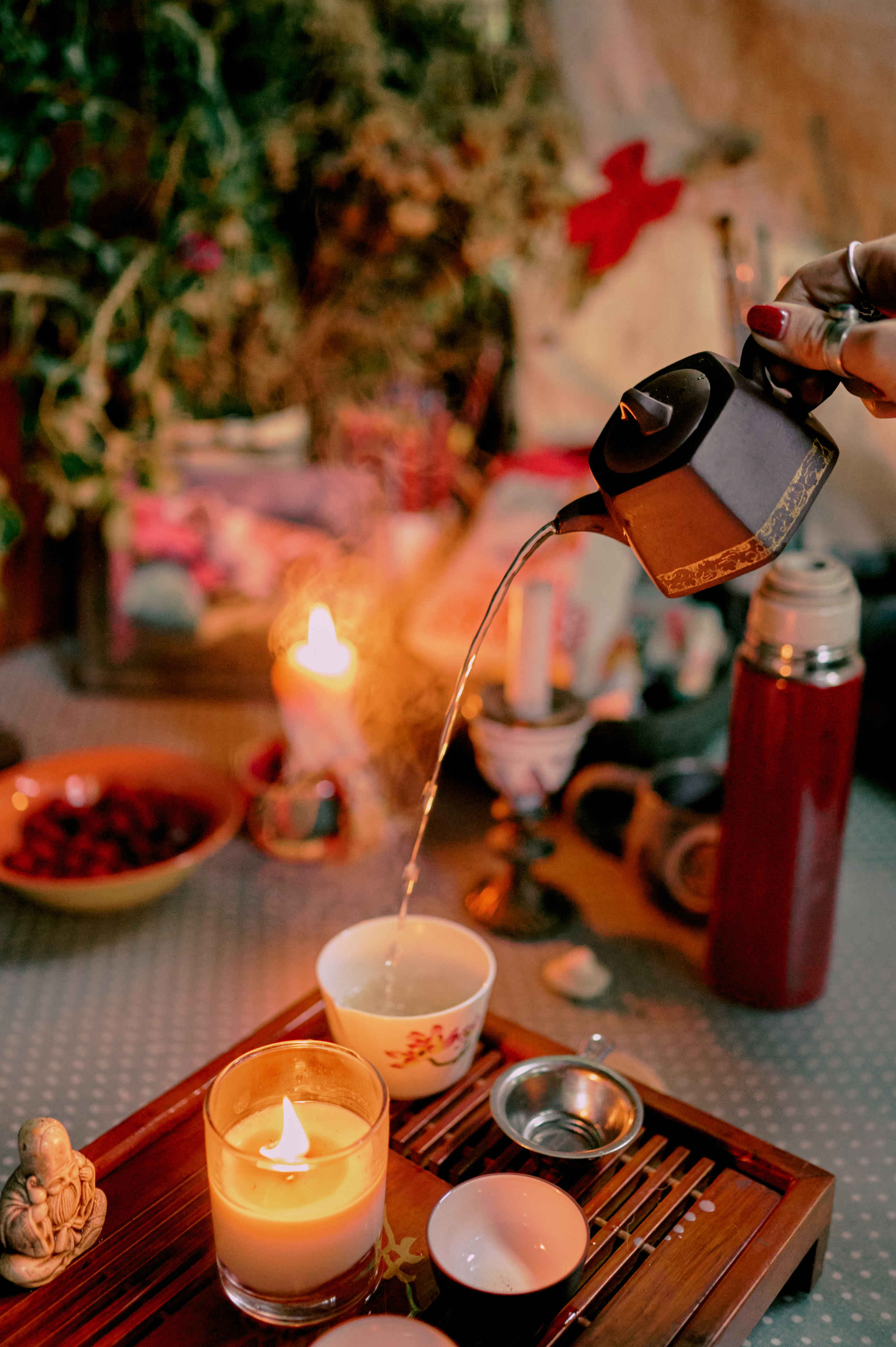 Настасья. В мастерской художника. Фотограф анималист в Казани Алина Сулейманова. Фотограф животных