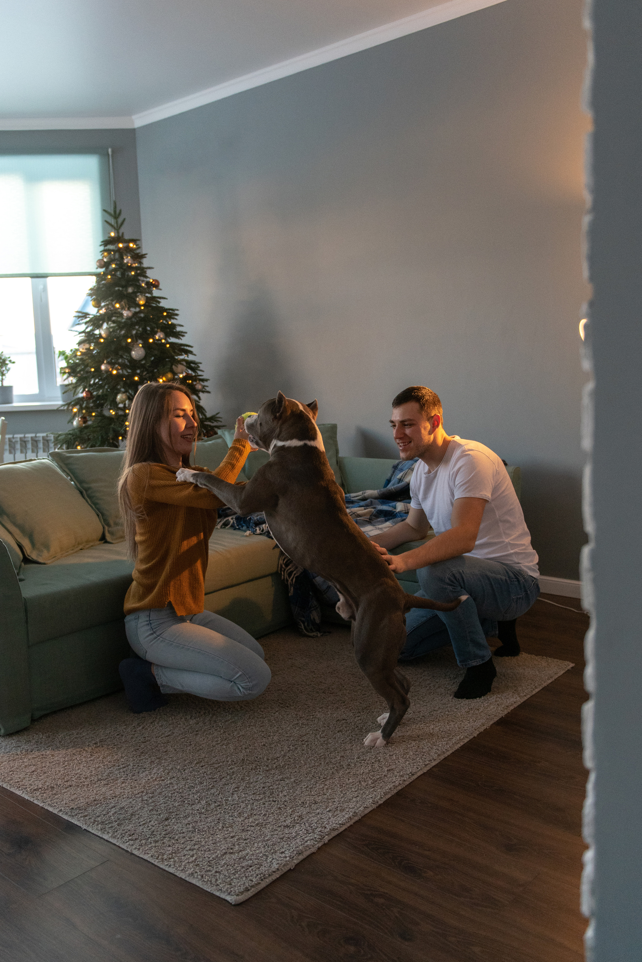 Ирина, Марат и Ричард. Фотограф анималист в Казани Алина Сулейманова. Фотограф животных