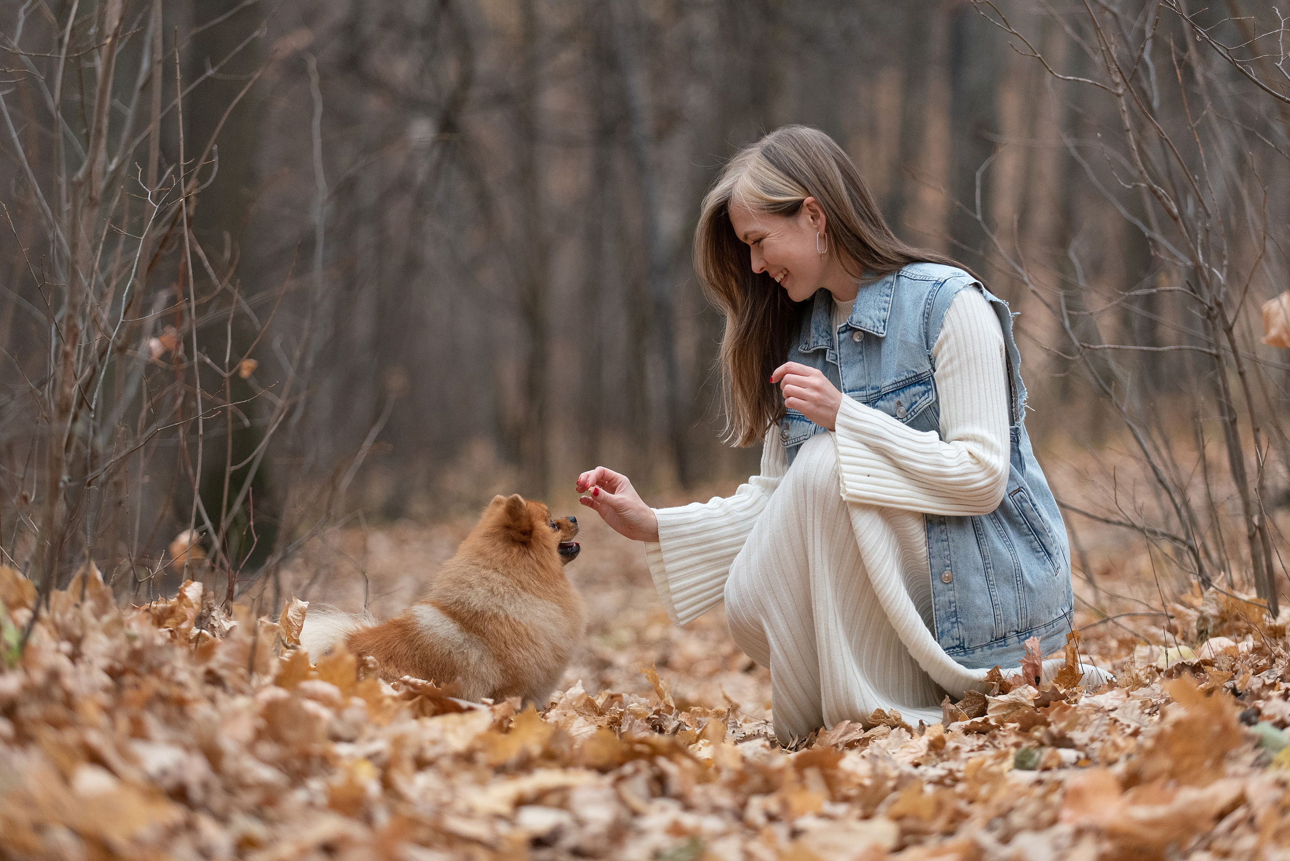 Зарина и Джонни. Фотограф анималист в Казани Алина Сулейманова. Фотограф животных