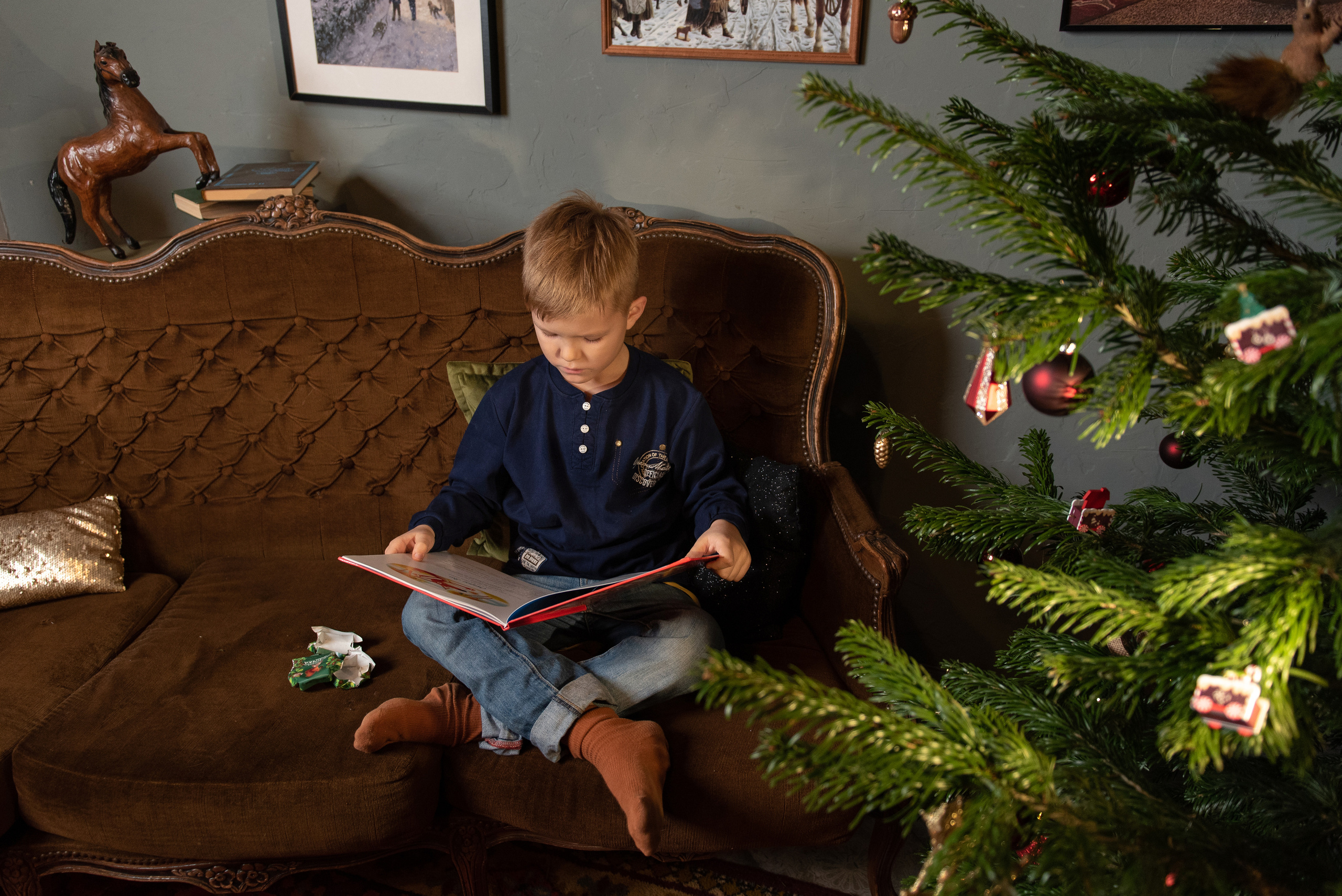 Света, Ратмир и Фунтик. Фотограф анималист в Казани Алина Сулейманова. Фотограф животных