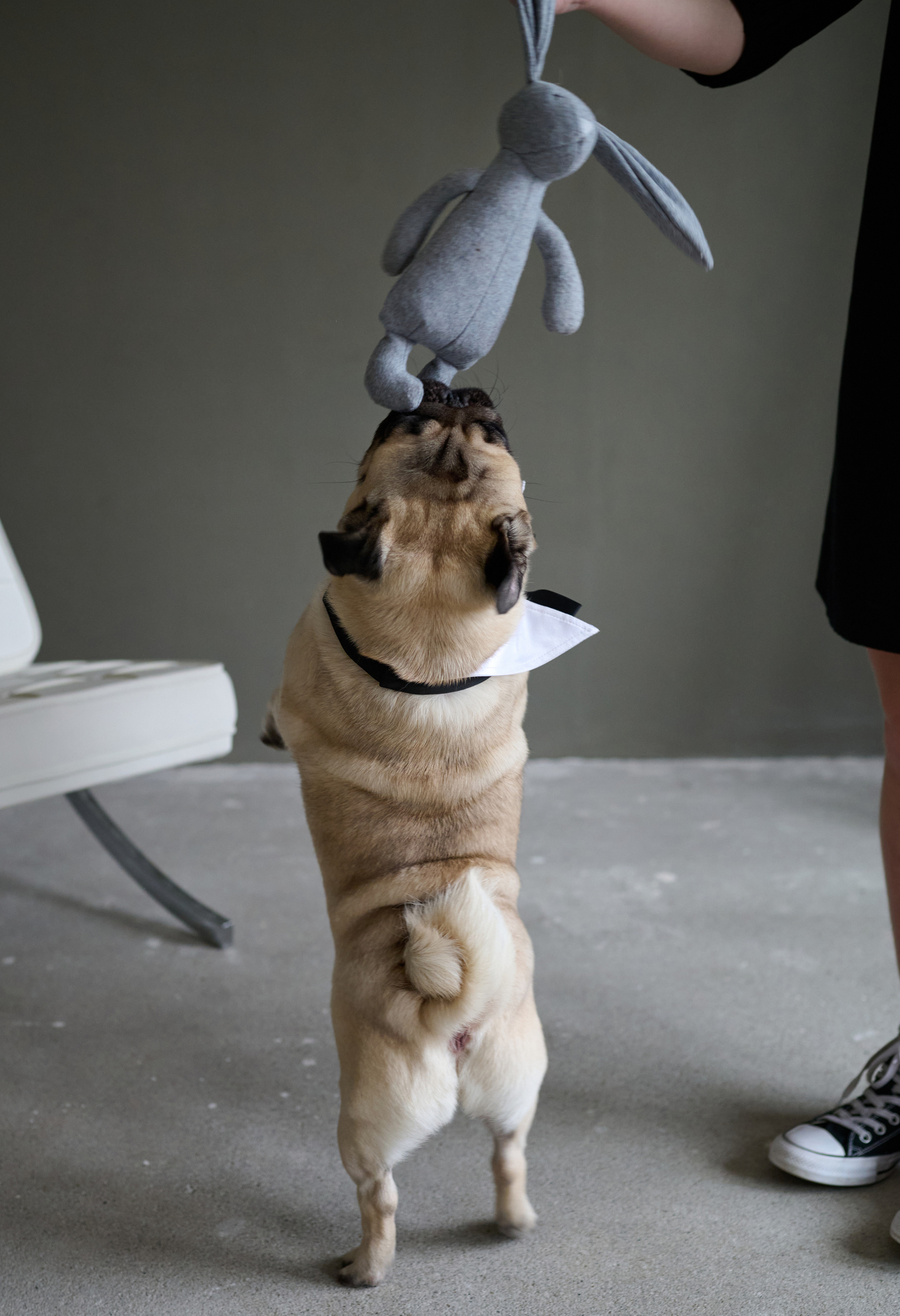 Мама и дочь. Фотограф анималист в Казани Алина Сулейманова. Фотограф животных