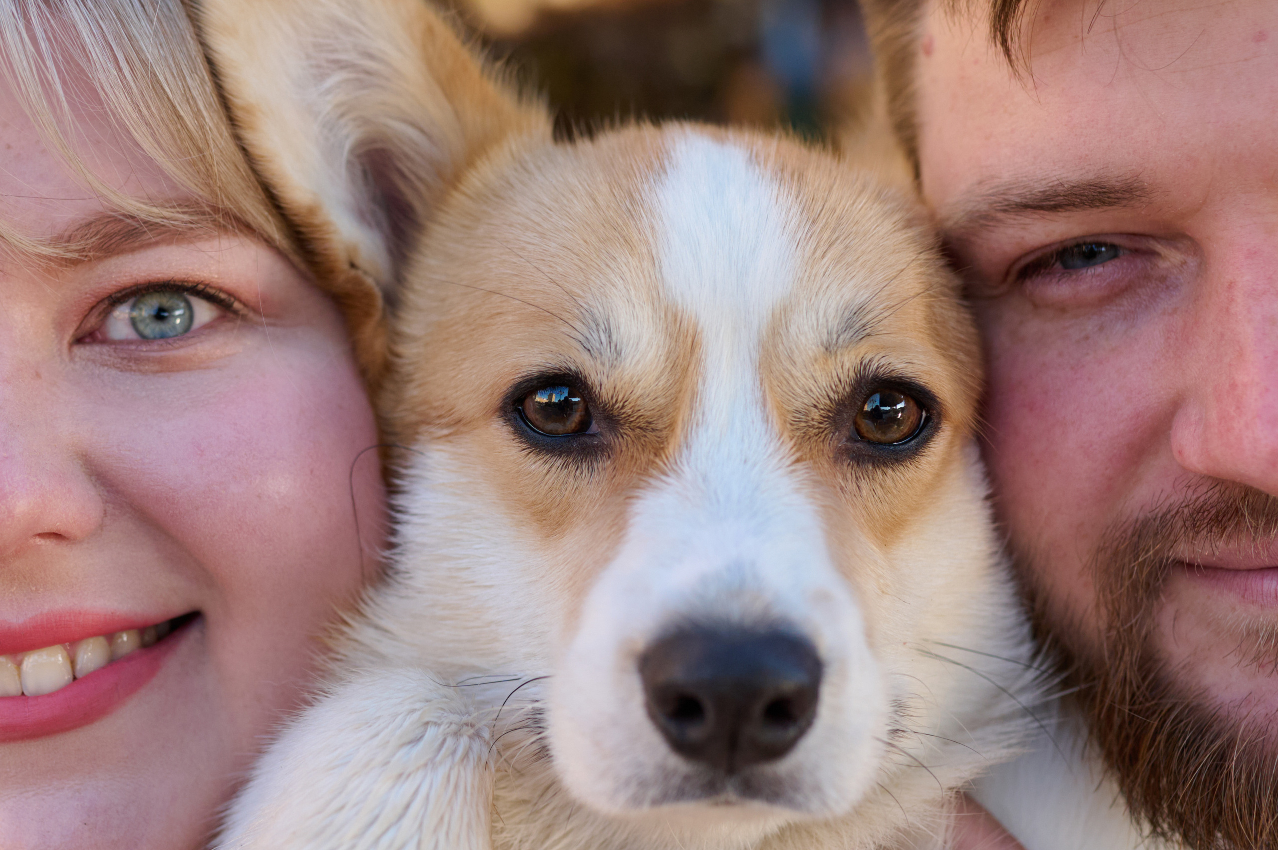 Катя, Данил и Деби. Фотограф анималист в Казани Алина Сулейманова. Фотограф животных