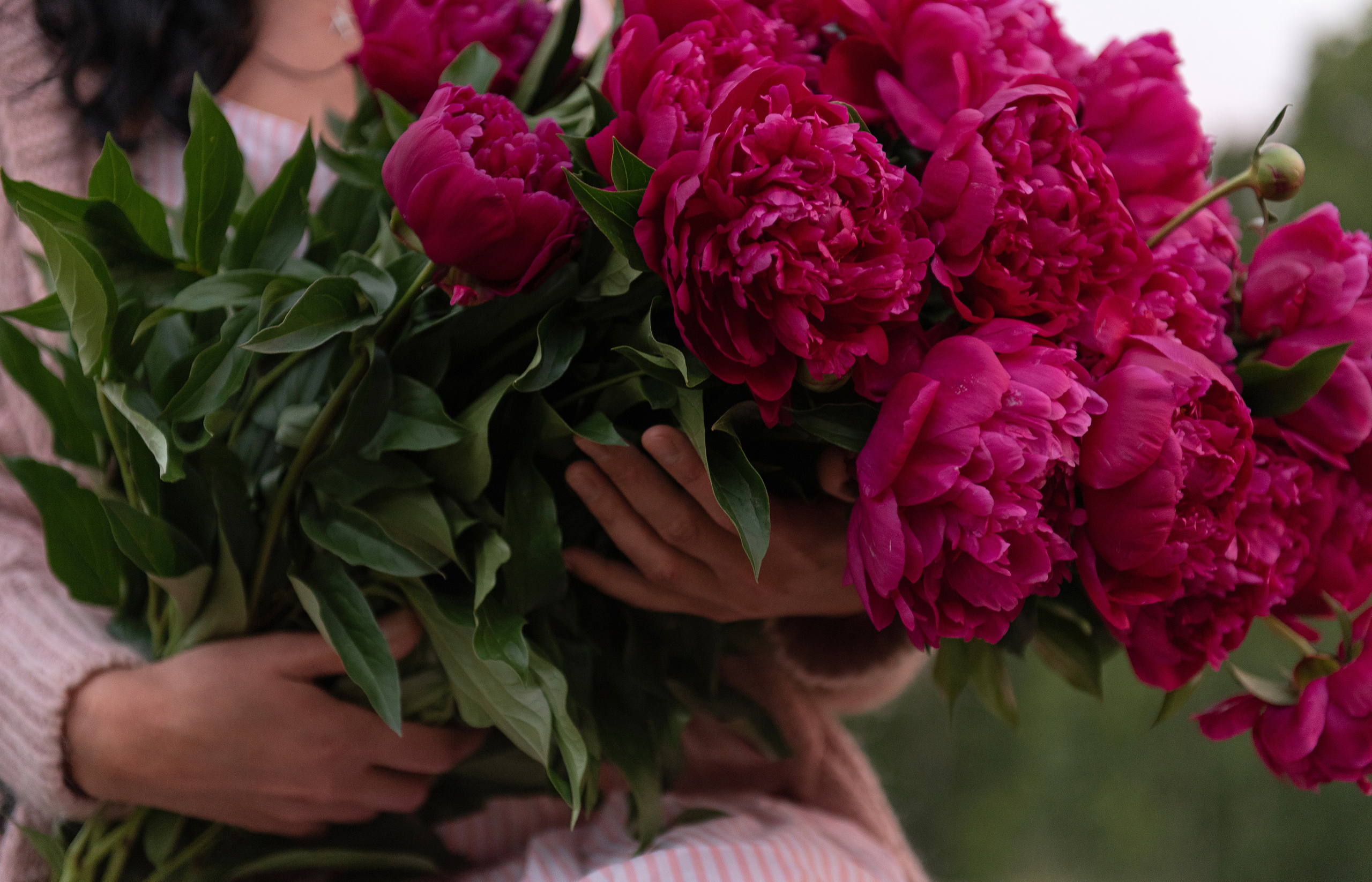 Светлана и Чарли. Фотограф анималист в Казани Алина Сулейманова. Фотограф животных