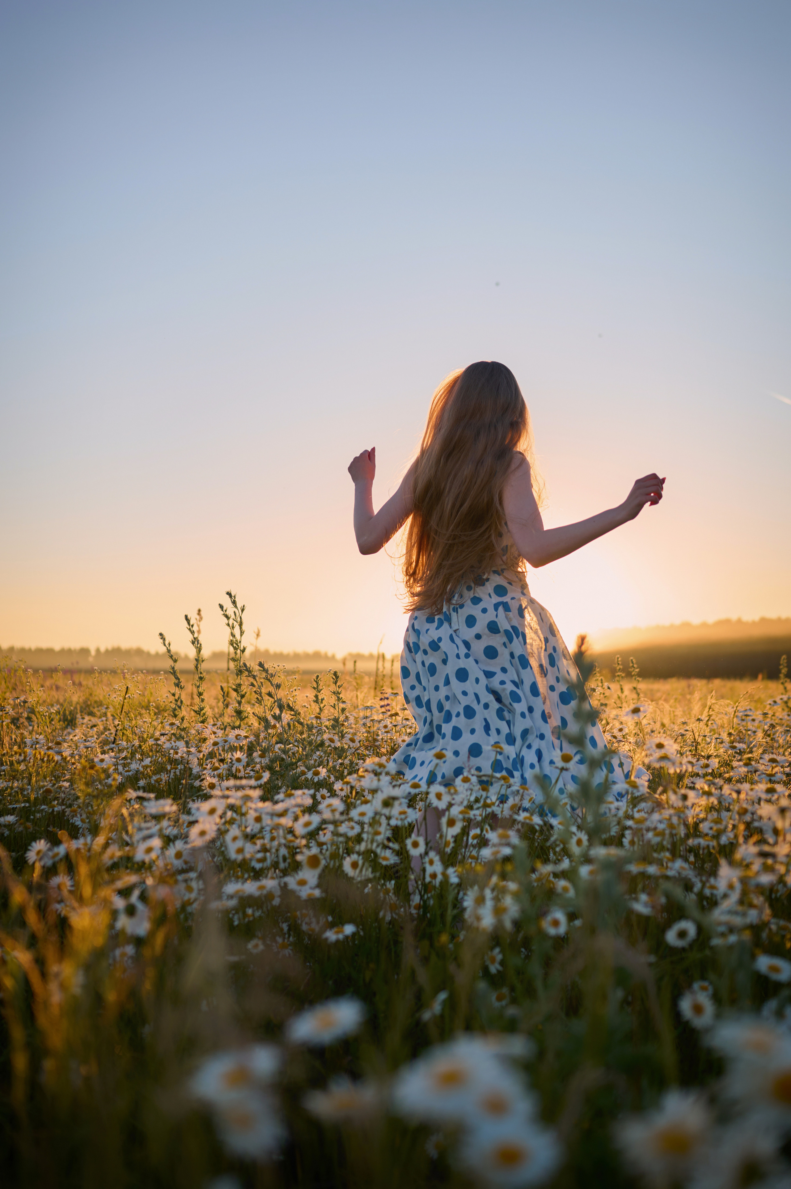 Екатерина. На заре. Фотограф анималист в Казани Алина Сулейманова. Фотограф животных