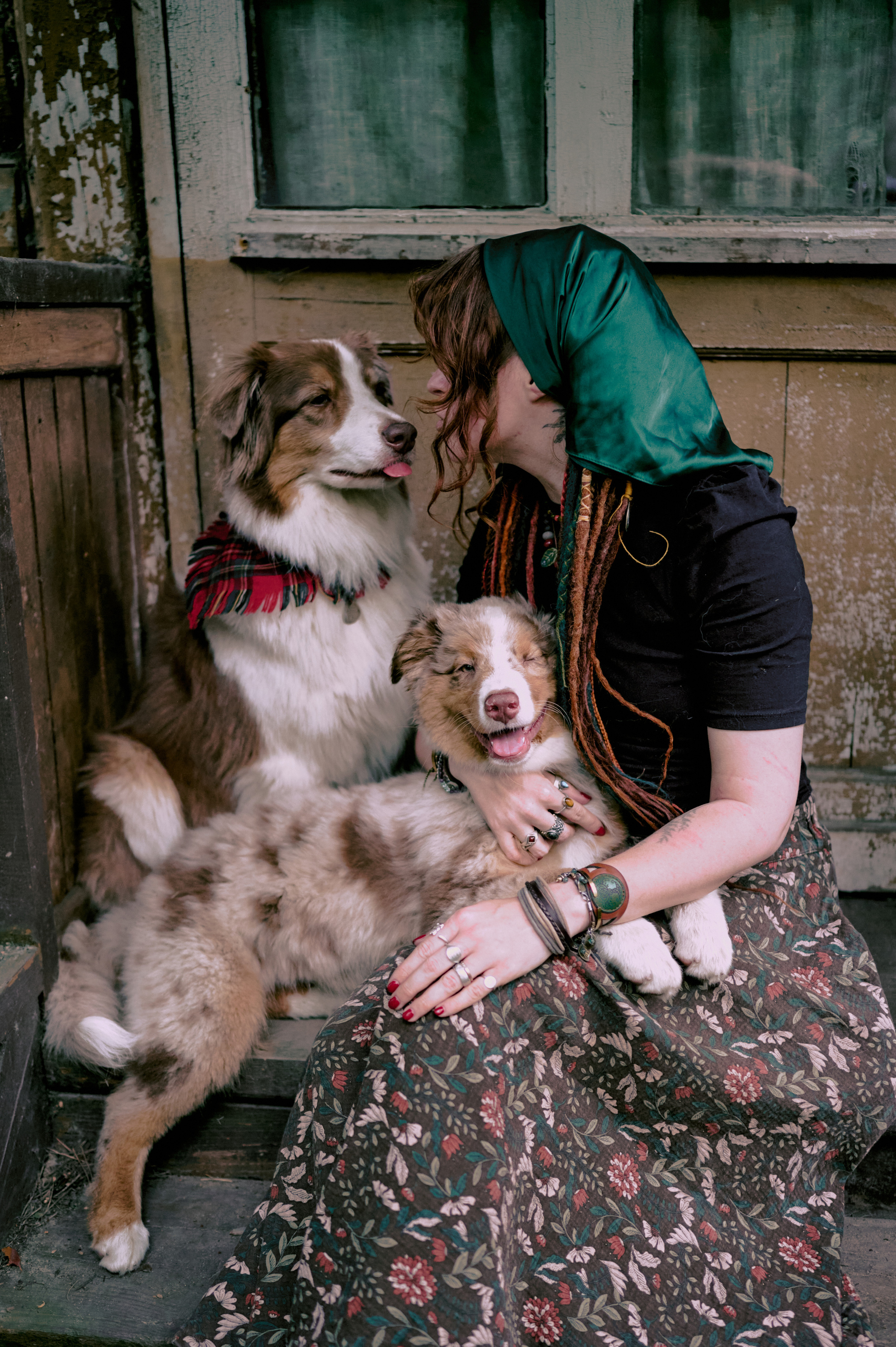 Настасья. В мастерской художника. Фотограф анималист в Казани Алина Сулейманова. Фотограф животных