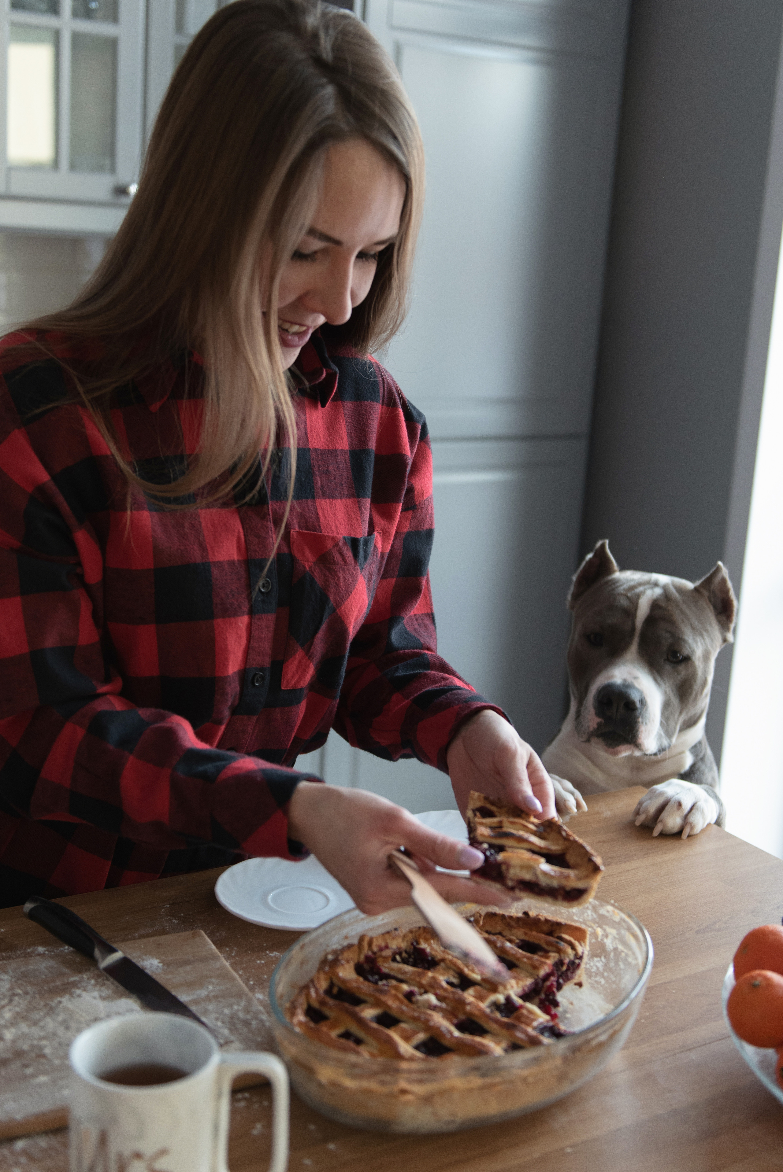 Ирина, Марат и Ричард. Фотограф анималист в Казани Алина Сулейманова. Фотограф животных