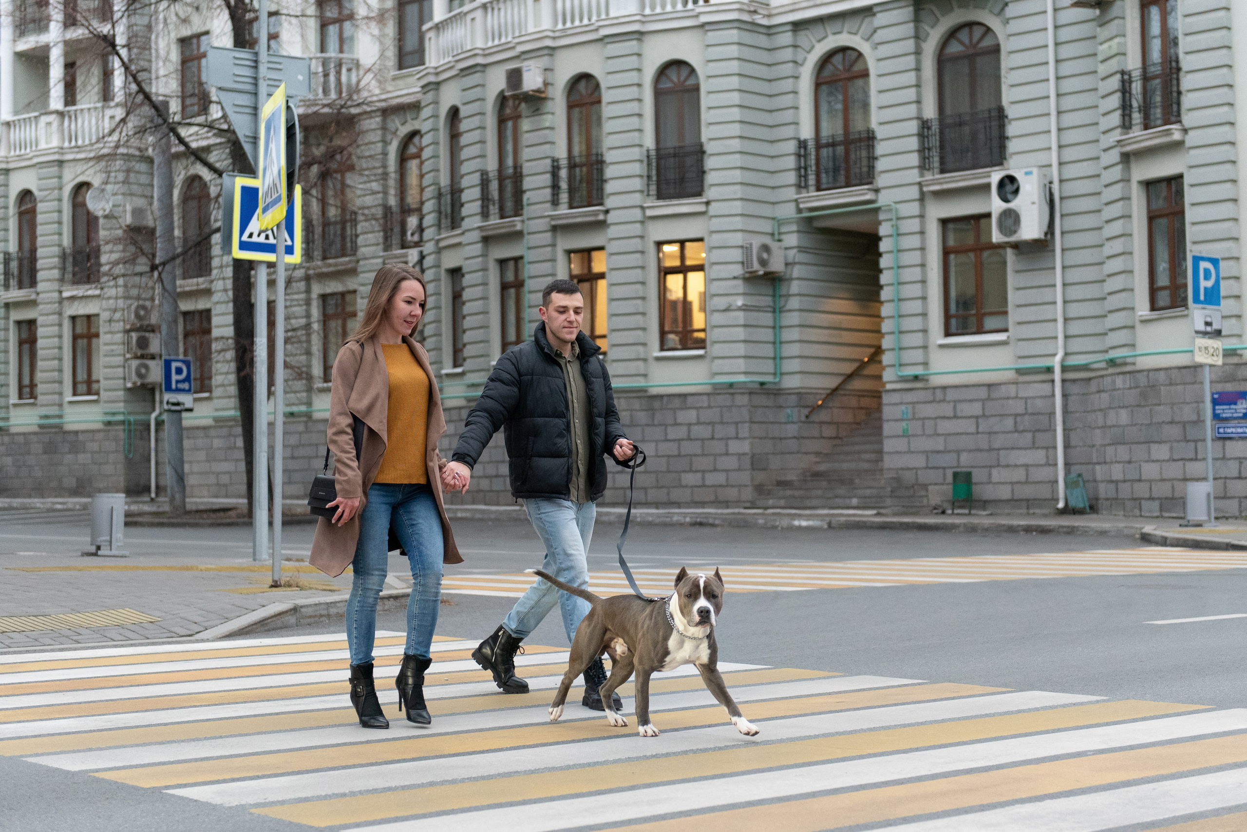 Ирина, Марат и Ричи. Фотограф анималист в Казани Алина Сулейманова. Фотограф животных