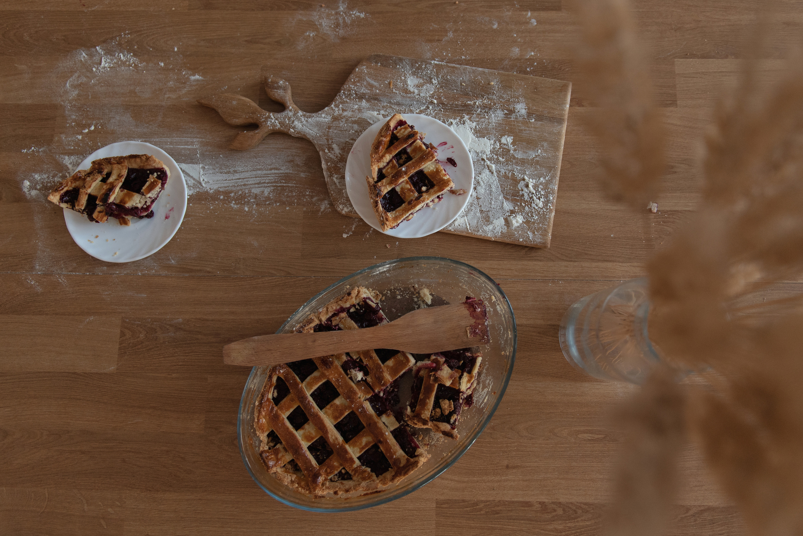 Ирина, Марат и Ричард. Фотограф анималист в Казани Алина Сулейманова. Фотограф животных