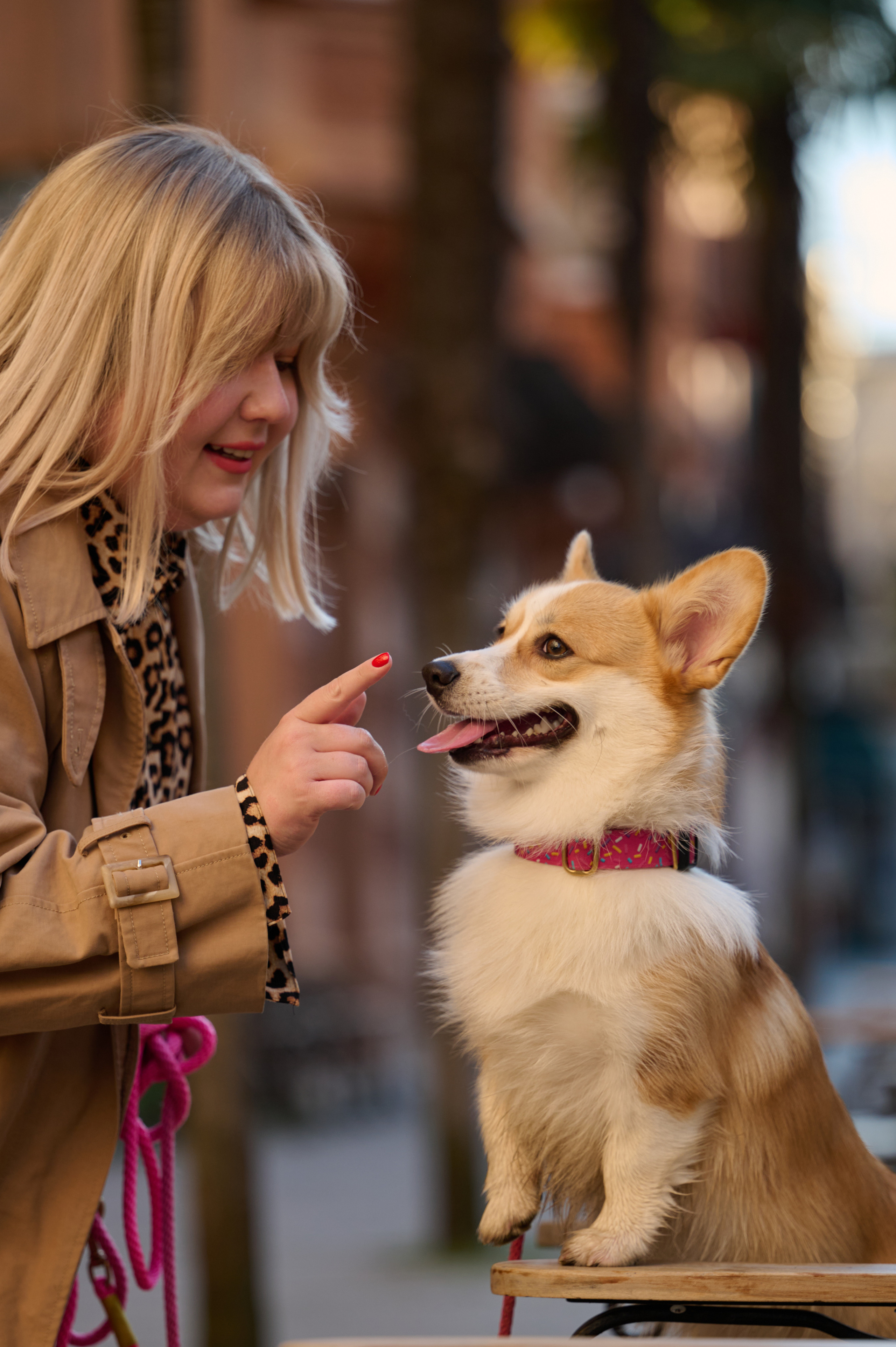 Катя, Данил и Деби. Фотограф анималист в Казани Алина Сулейманова. Фотограф животных