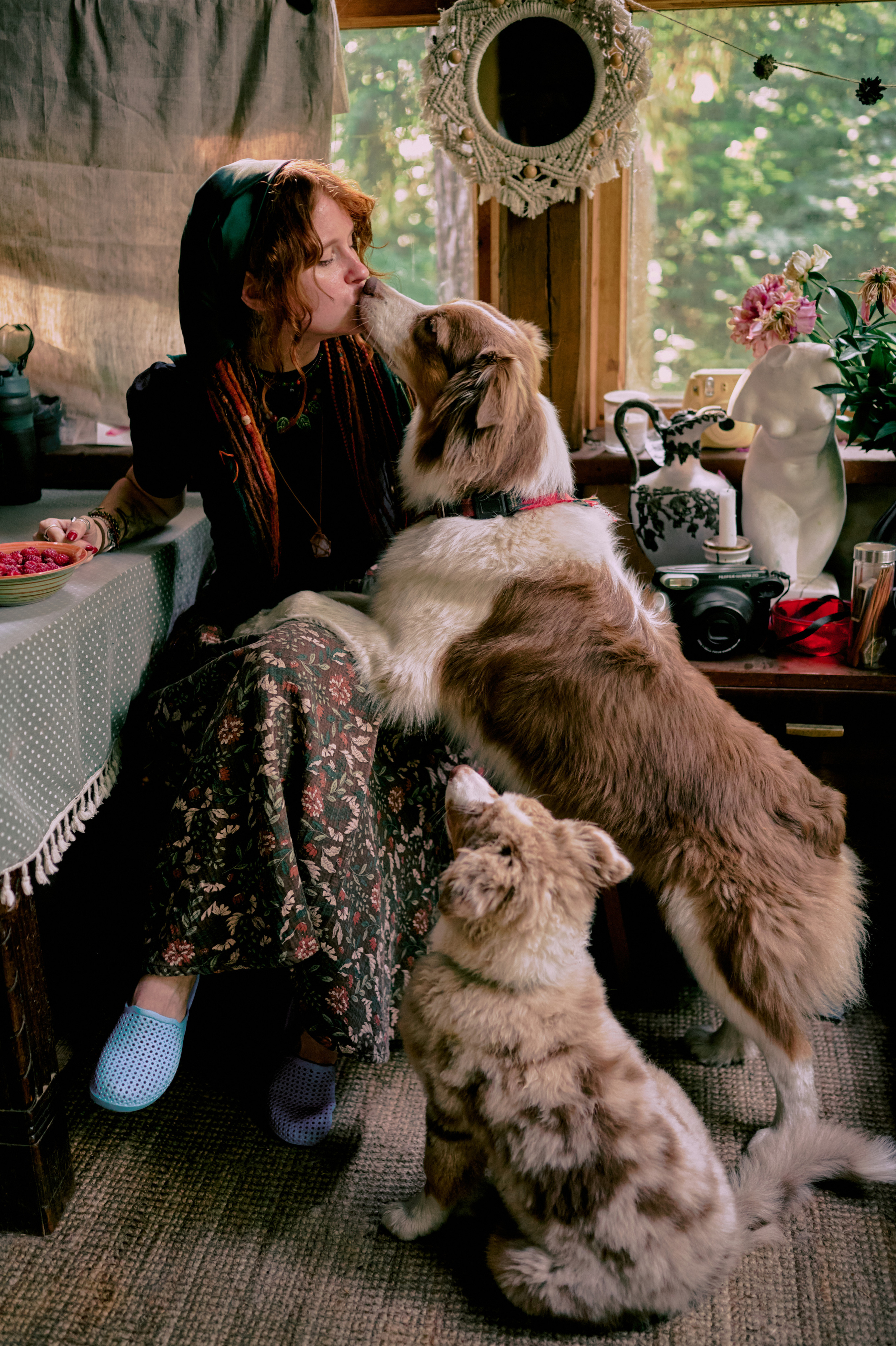 Настасья. В мастерской художника. Фотограф анималист в Казани Алина Сулейманова. Фотограф животных