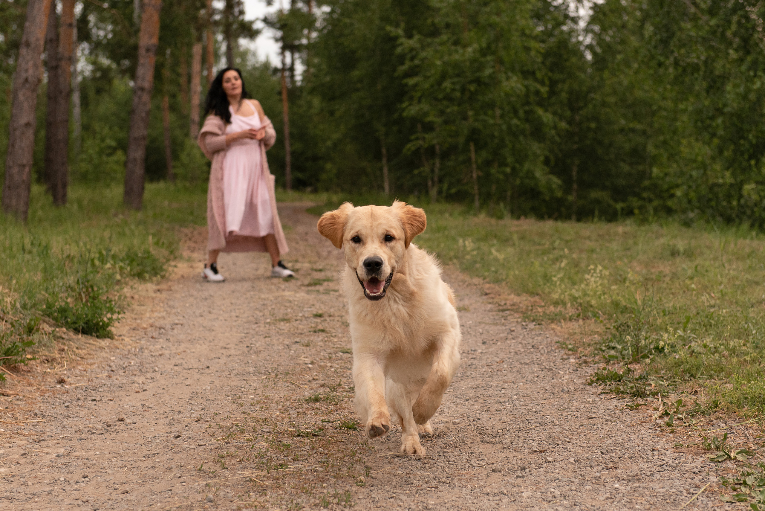Светлана и Чарли. Фотограф анималист в Казани Алина Сулейманова. Фотограф животных