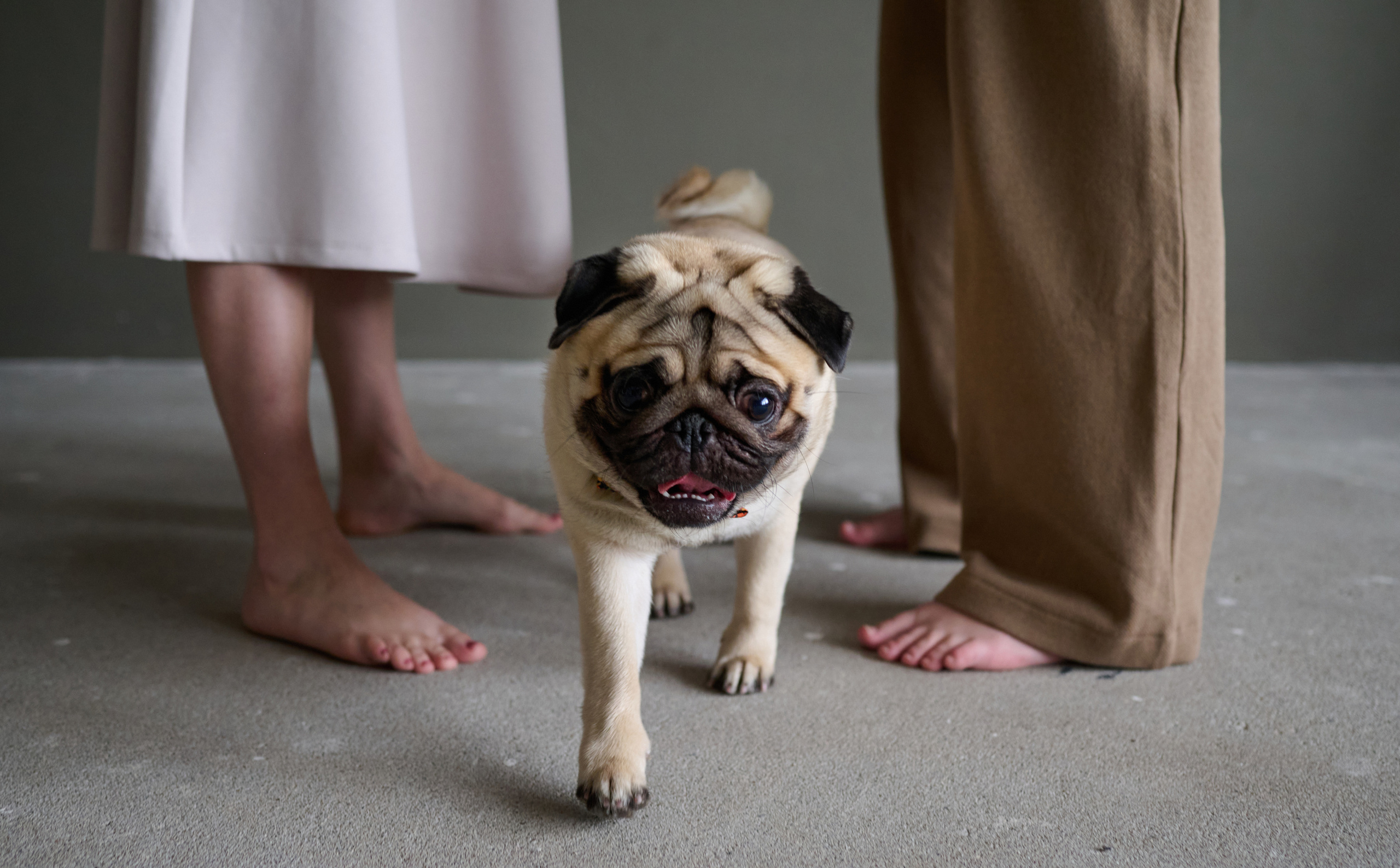 Мама и дочь. Фотограф анималист в Казани Алина Сулейманова. Фотограф животных