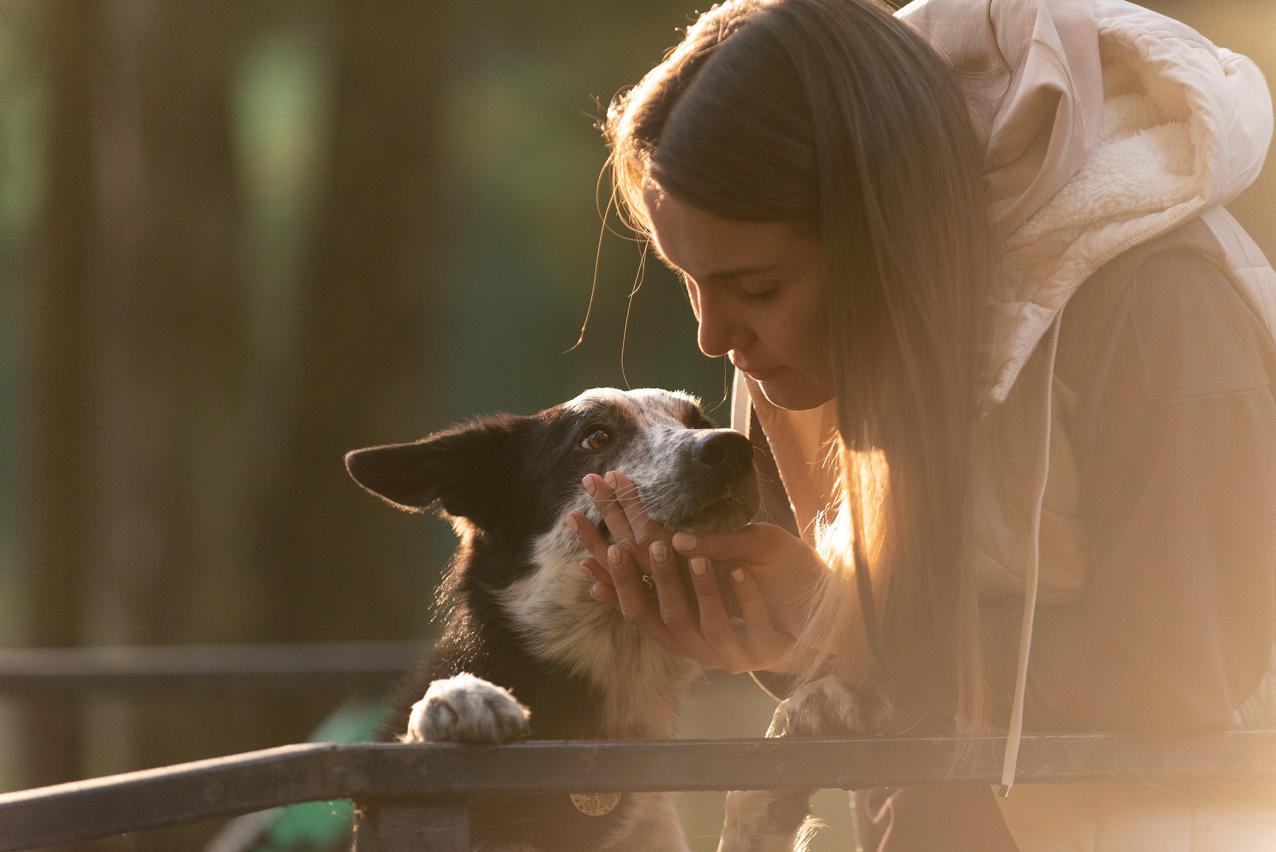 Анна и Милан. Фотограф анималист в Казани Алина Сулейманова. Фотограф животных