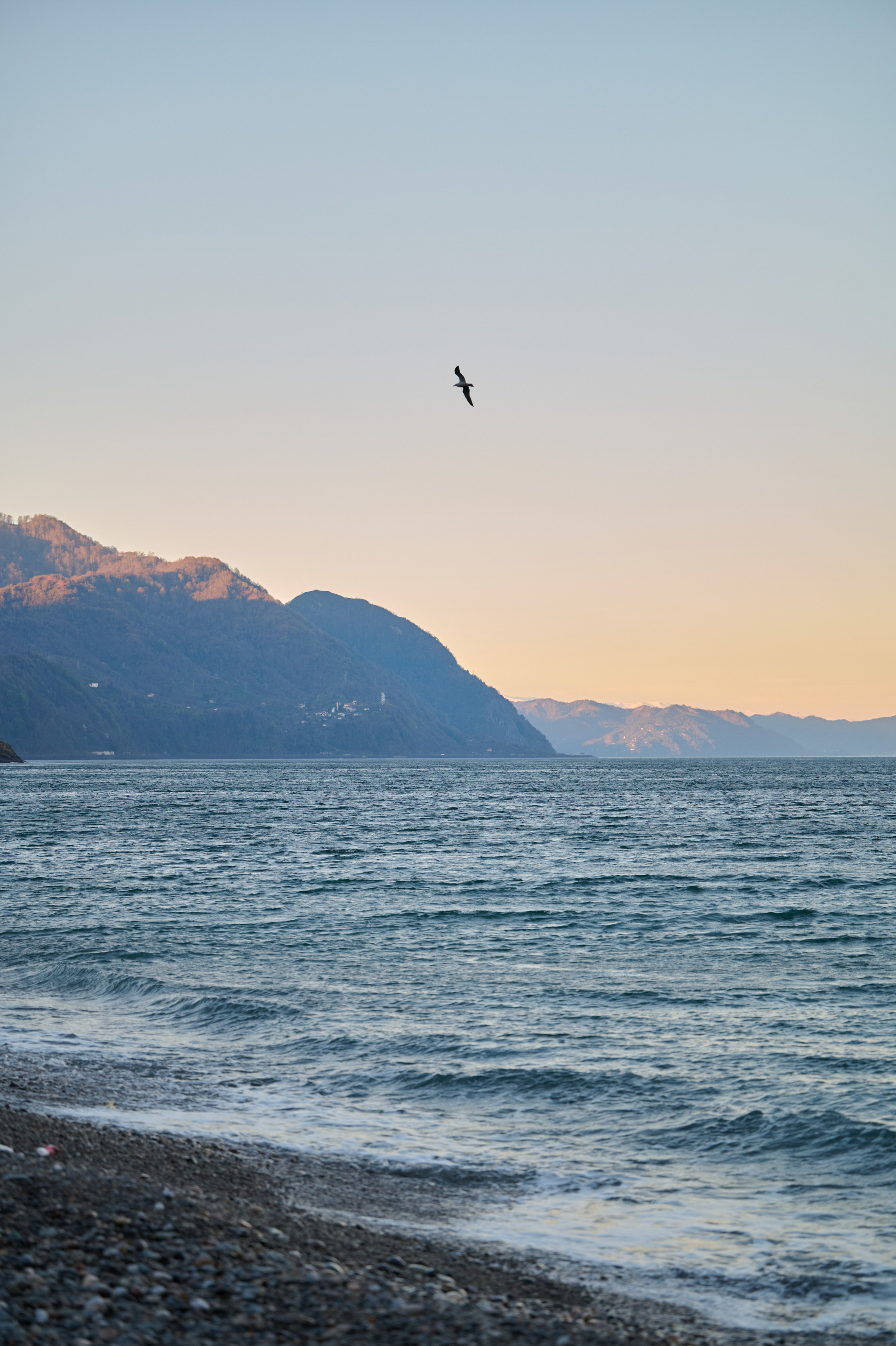 Марина и Эва. Фотограф анималист в Казани Алина Сулейманова. Фотограф животных