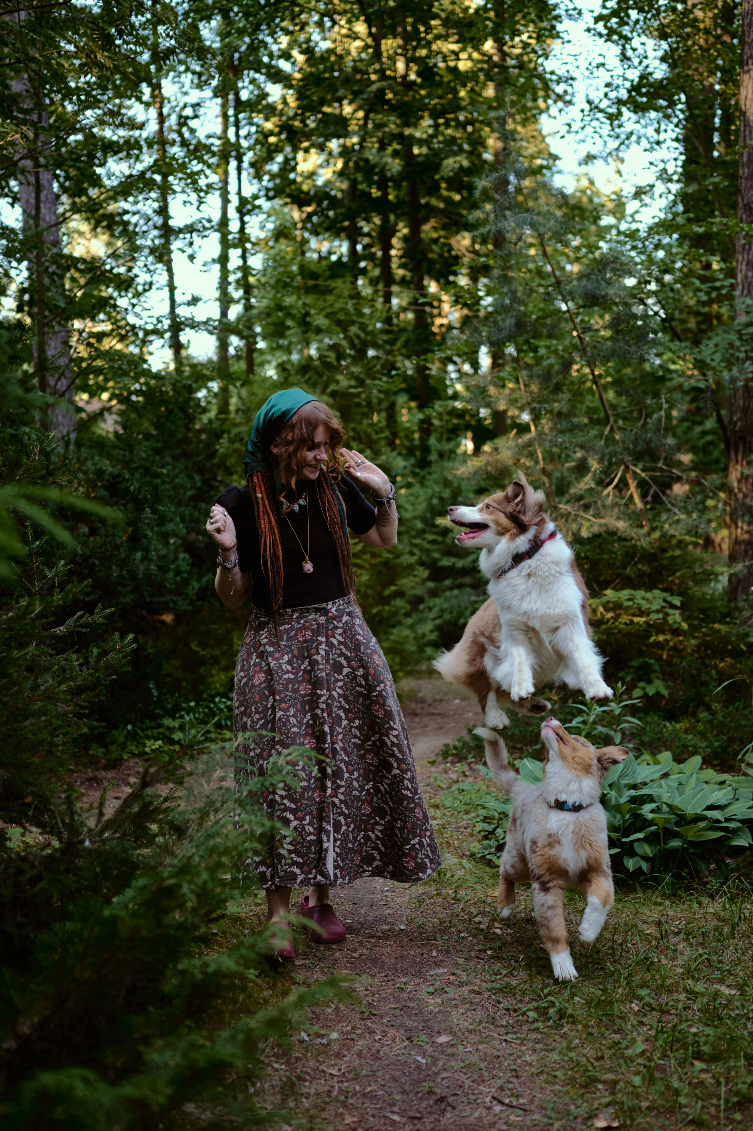 Настасья. В мастерской художника. Фотограф анималист в Казани Алина Сулейманова. Фотограф животных