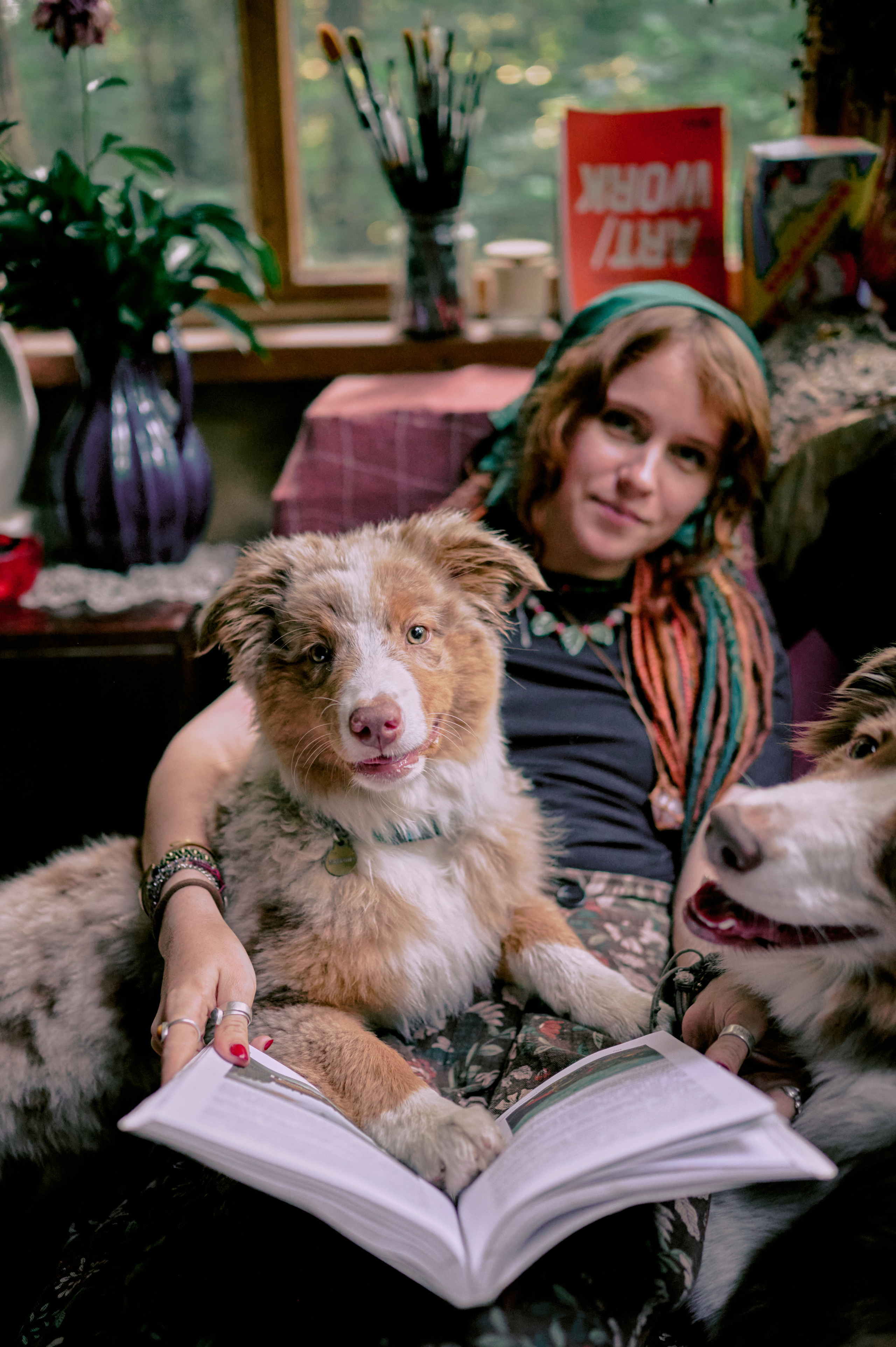 Настасья. В мастерской художника. Фотограф анималист в Казани Алина Сулейманова. Фотограф животных