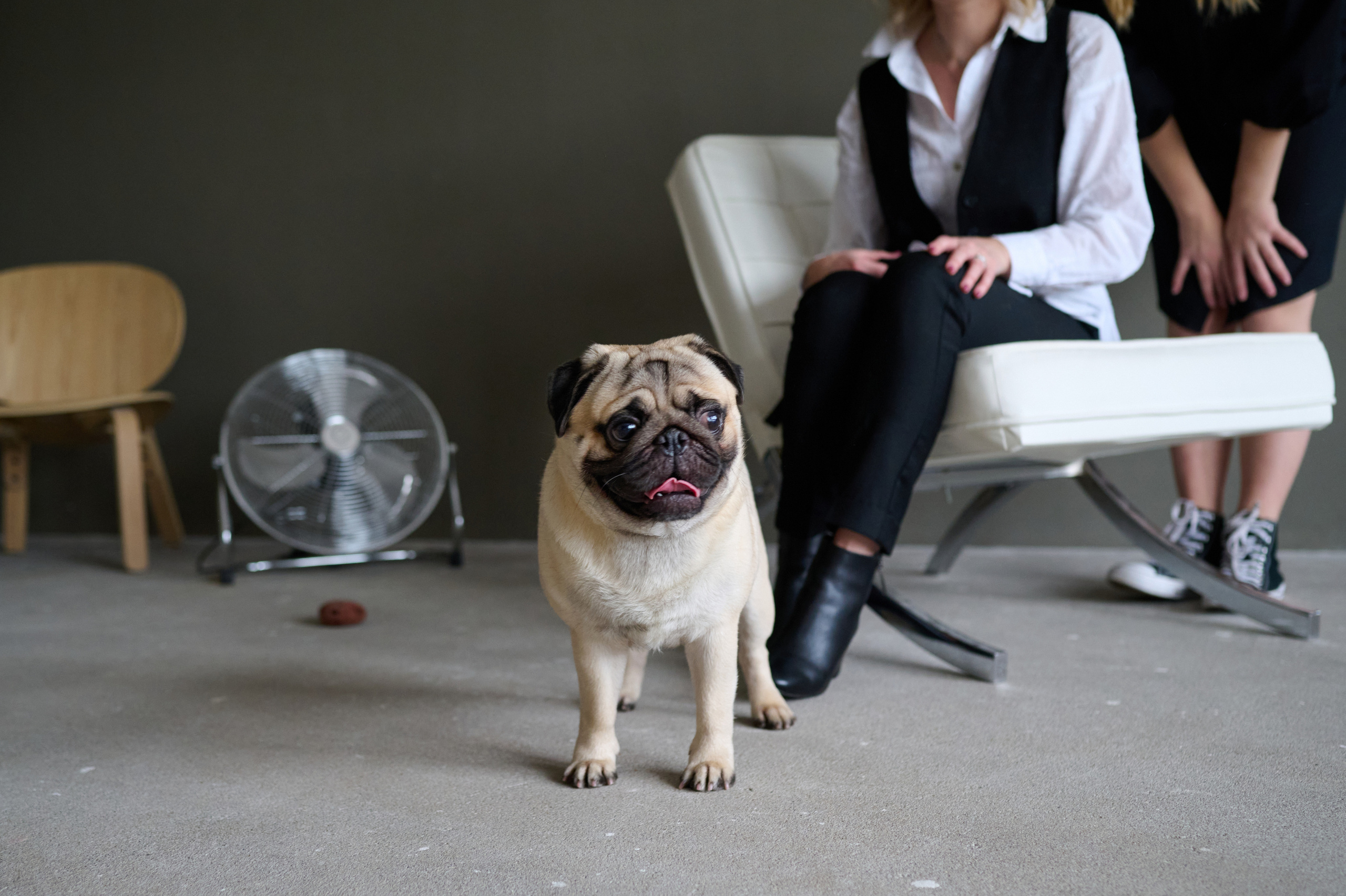 Мама и дочь. Фотограф анималист в Казани Алина Сулейманова. Фотограф животных