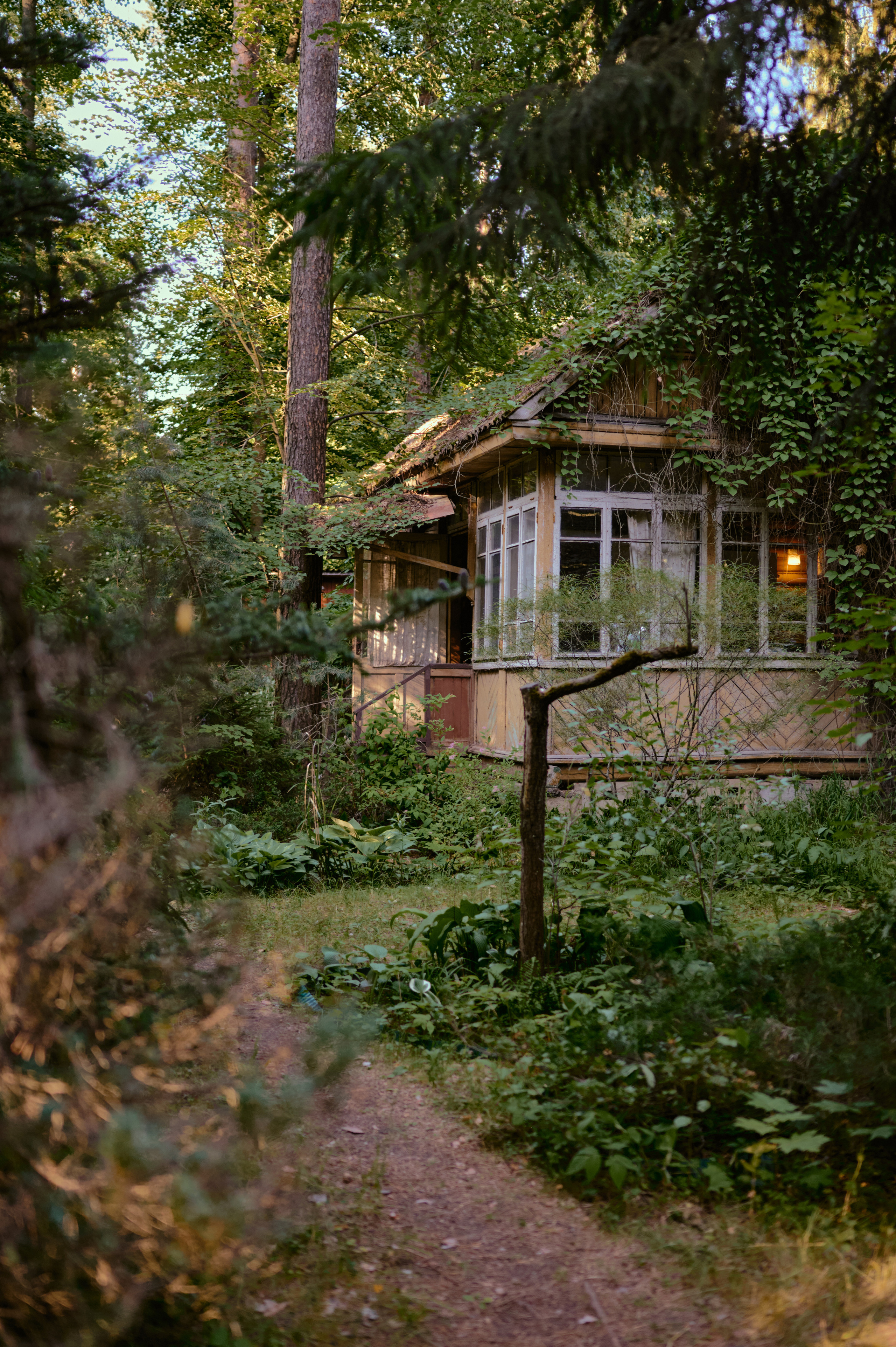 Настасья. В мастерской художника. Фотограф анималист в Казани Алина Сулейманова. Фотограф животных