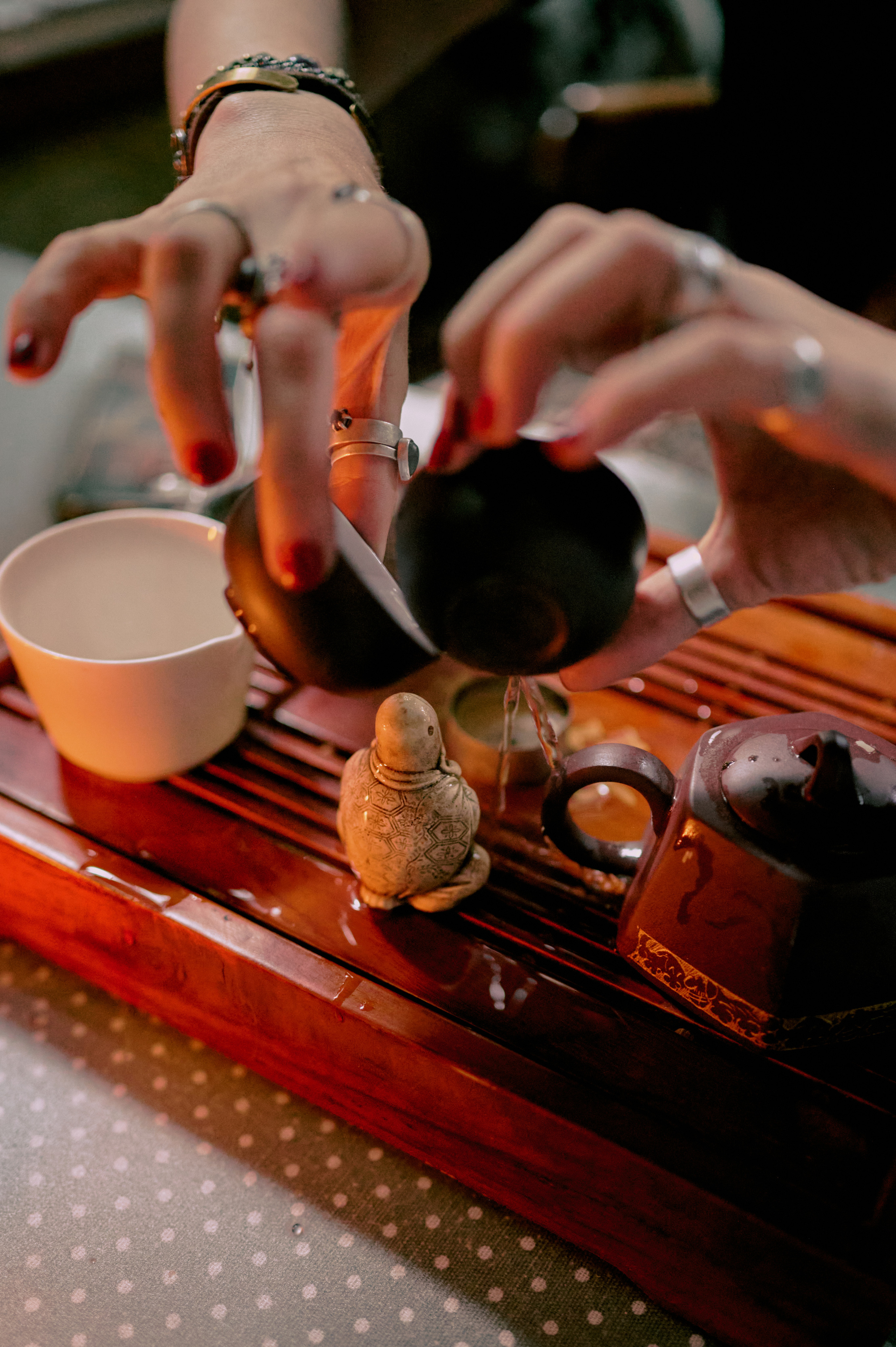 Настасья. В мастерской художника. Фотограф анималист в Казани Алина Сулейманова. Фотограф животных