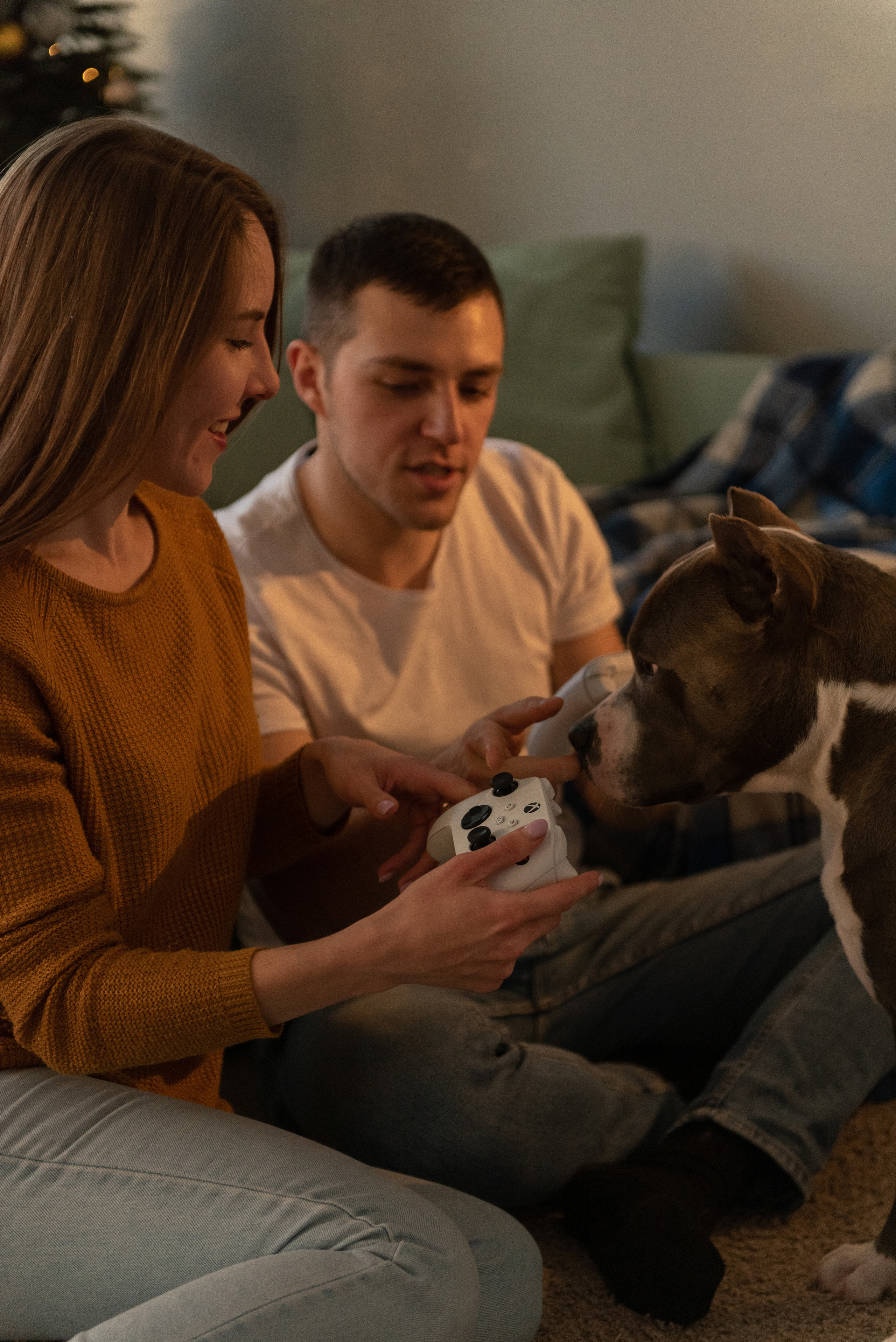 Ирина, Марат и Ричард. Фотограф анималист в Казани Алина Сулейманова. Фотограф животных