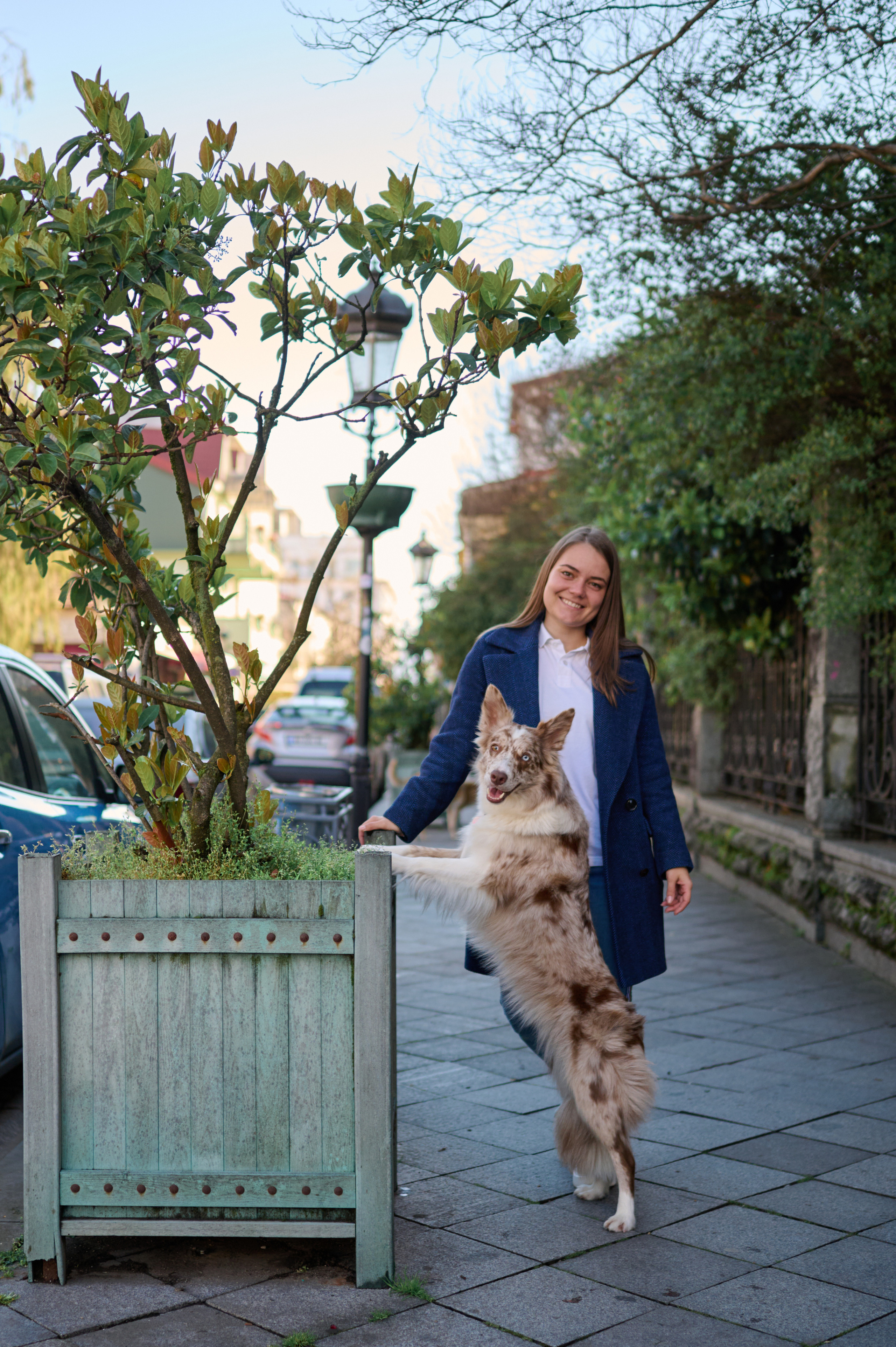 Полина и Бени. Фотограф анималист в Казани Алина Сулейманова. Фотограф животных