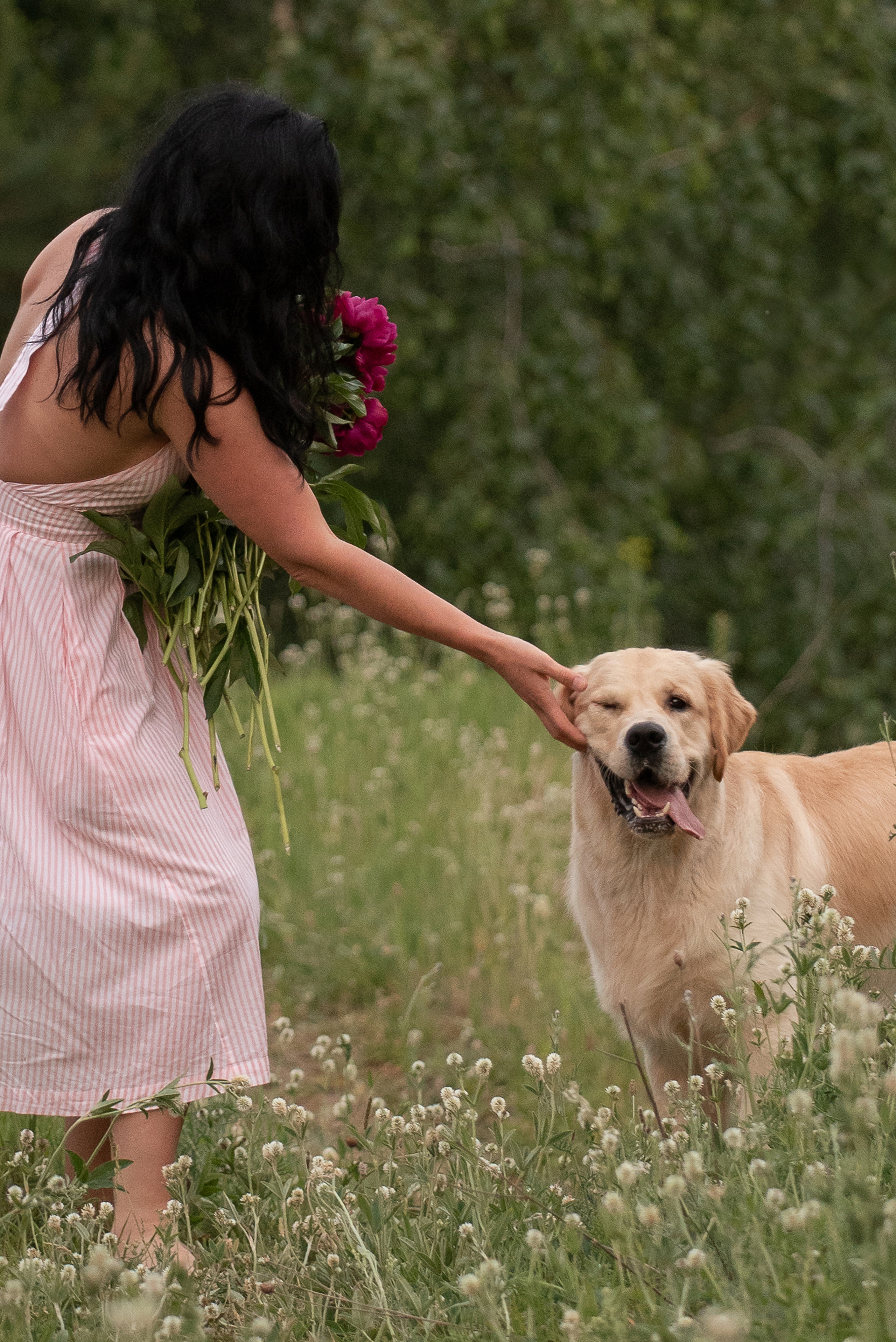 Светлана и Чарли. Фотограф анималист в Казани Алина Сулейманова. Фотограф животных