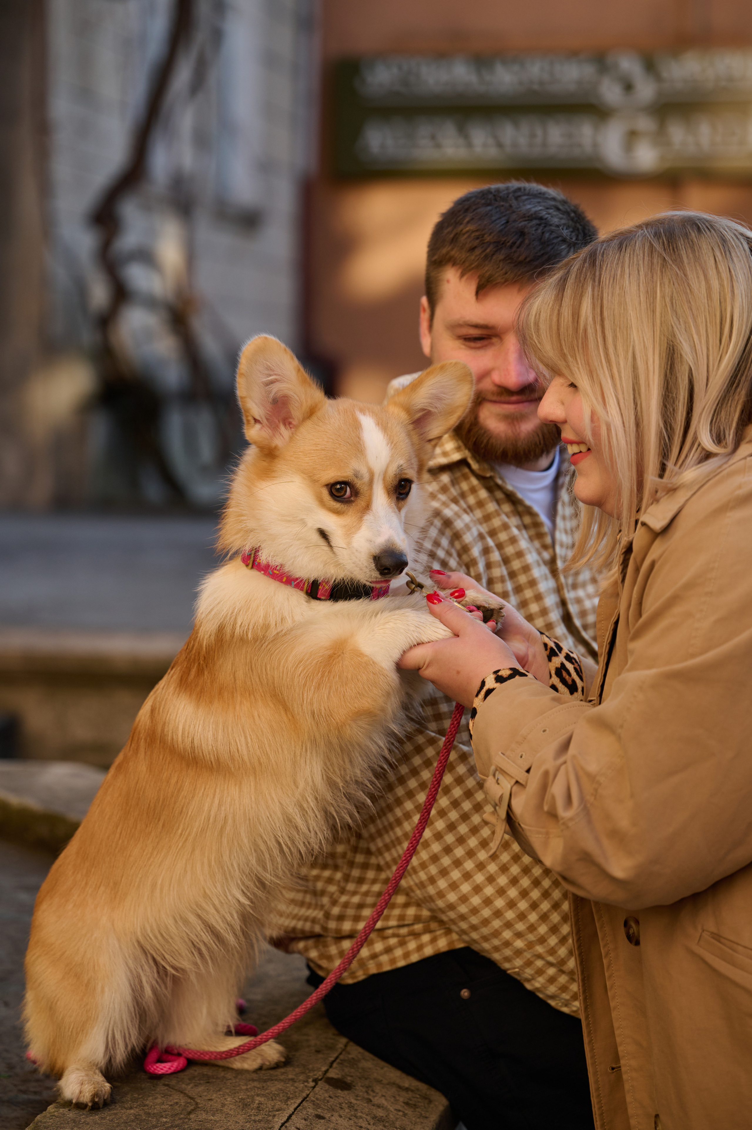 Катя, Данил и Деби. Фотограф анималист в Казани Алина Сулейманова. Фотограф животных