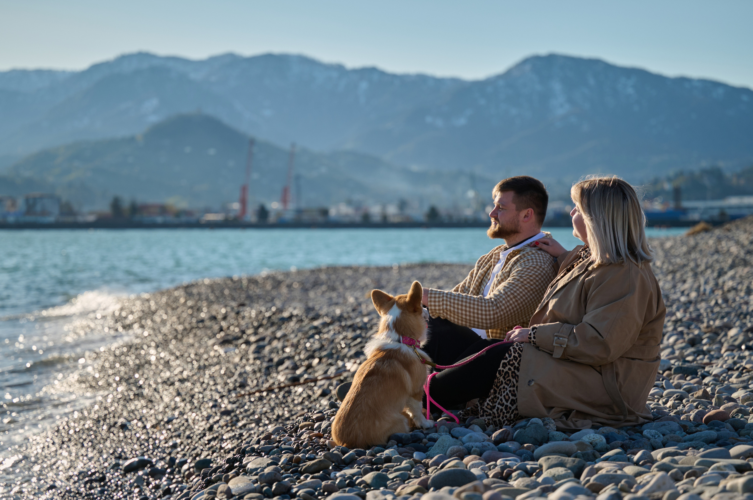 Катя, Данил и Деби. Фотограф анималист в Казани Алина Сулейманова. Фотограф животных