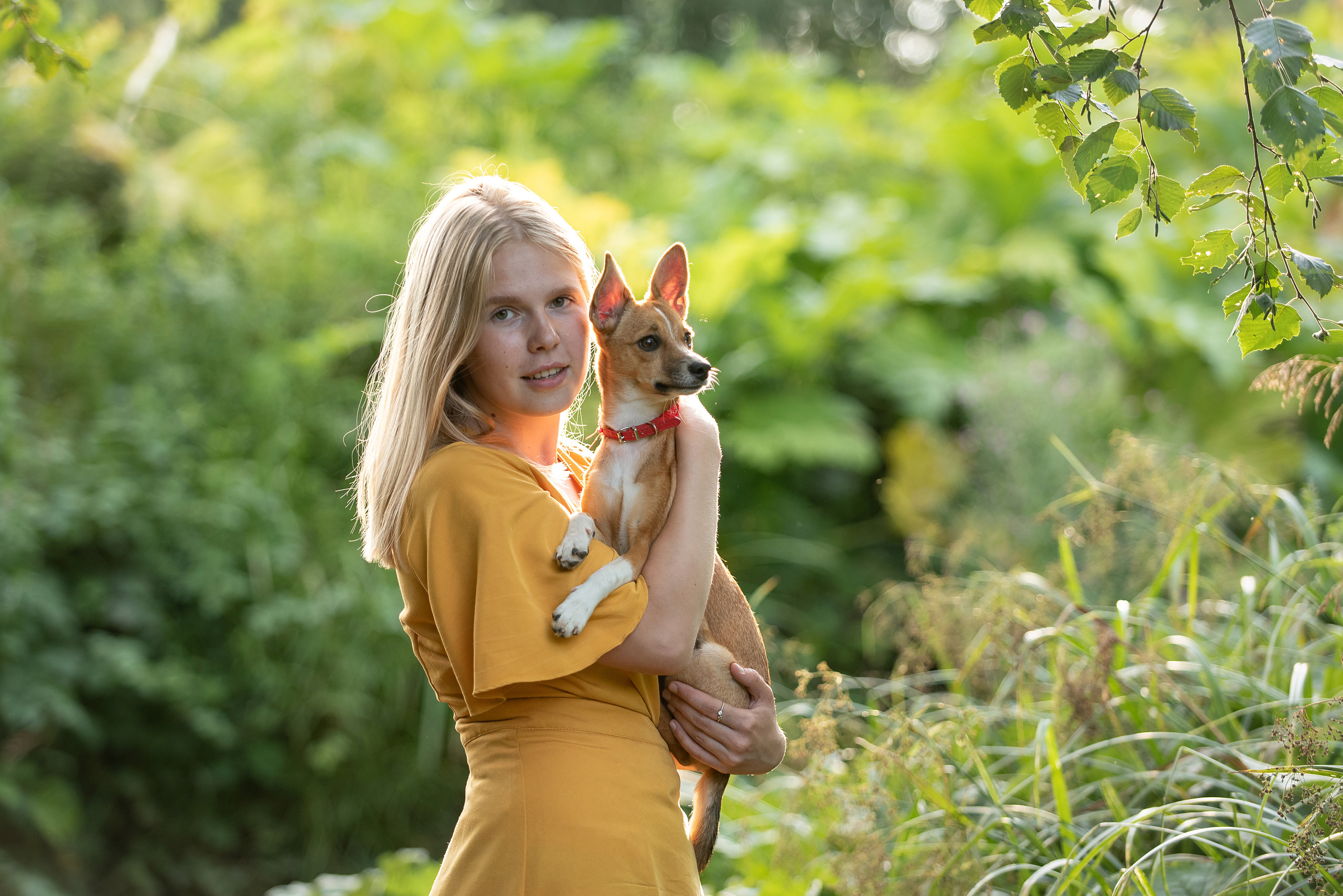 Настя. У ручья. Фотограф анималист в Казани Алина Сулейманова. Фотограф животных