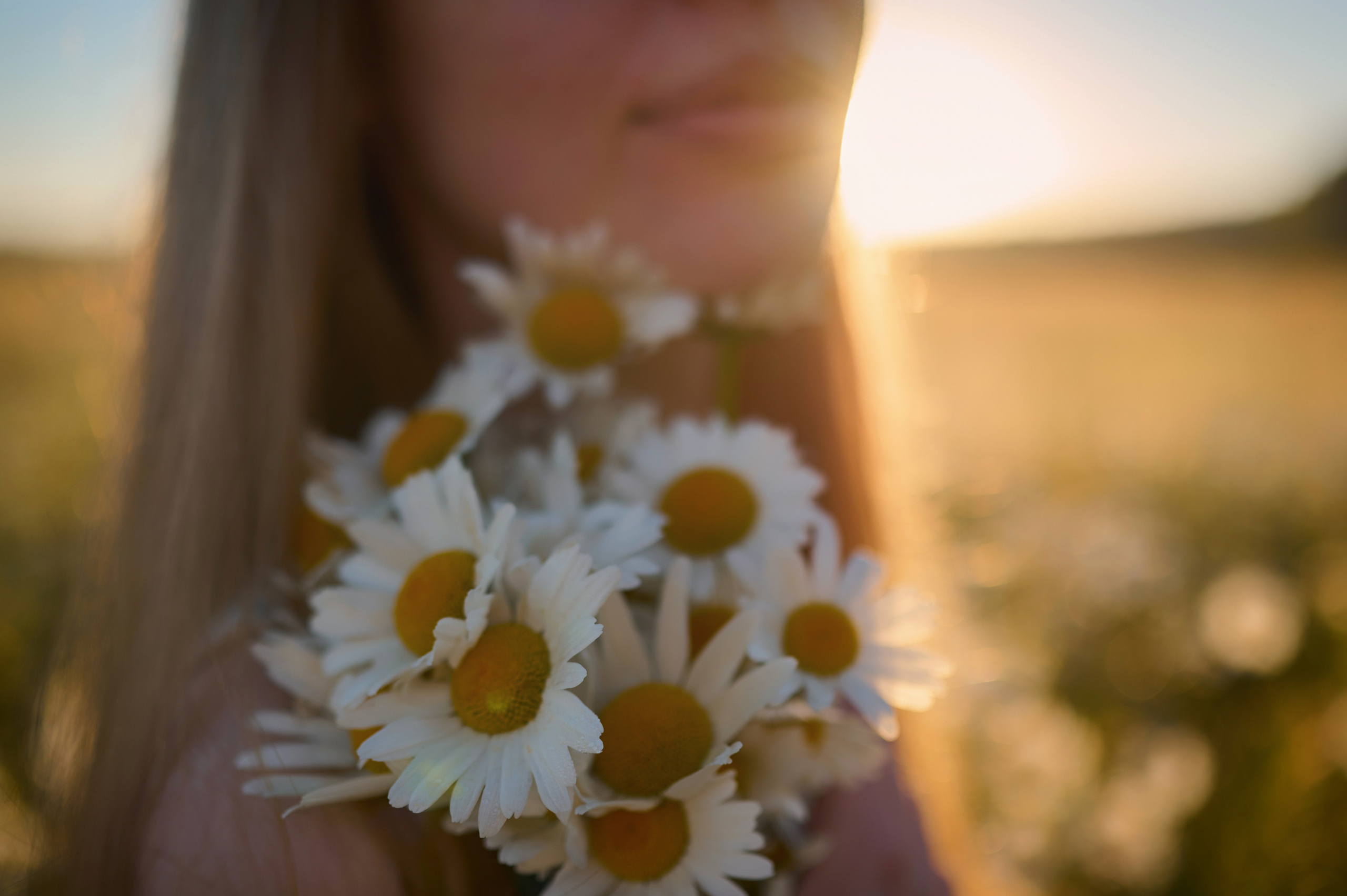 Екатерина. На заре. Фотограф анималист в Казани Алина Сулейманова. Фотограф животных