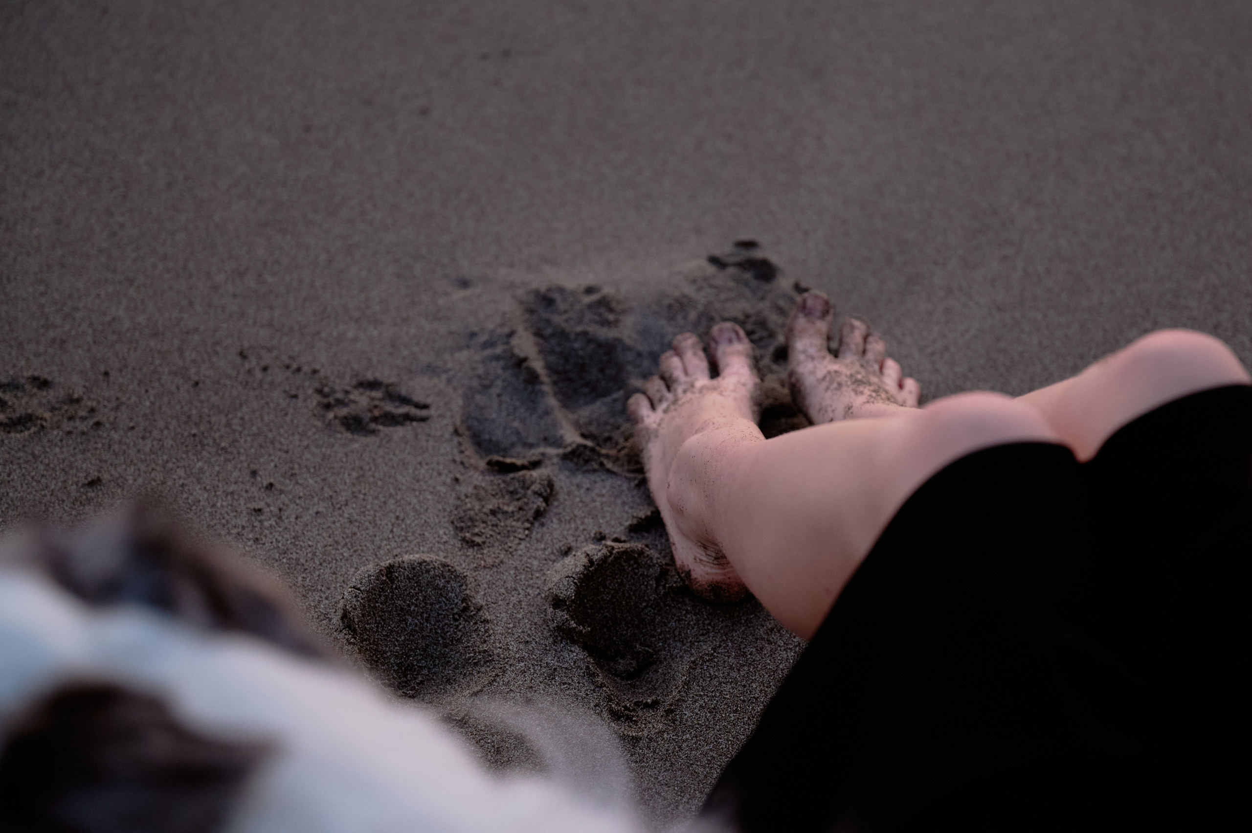 Мария и Декс, на берегу моря. Фотограф анималист в Казани Алина Сулейманова. Фотограф животных