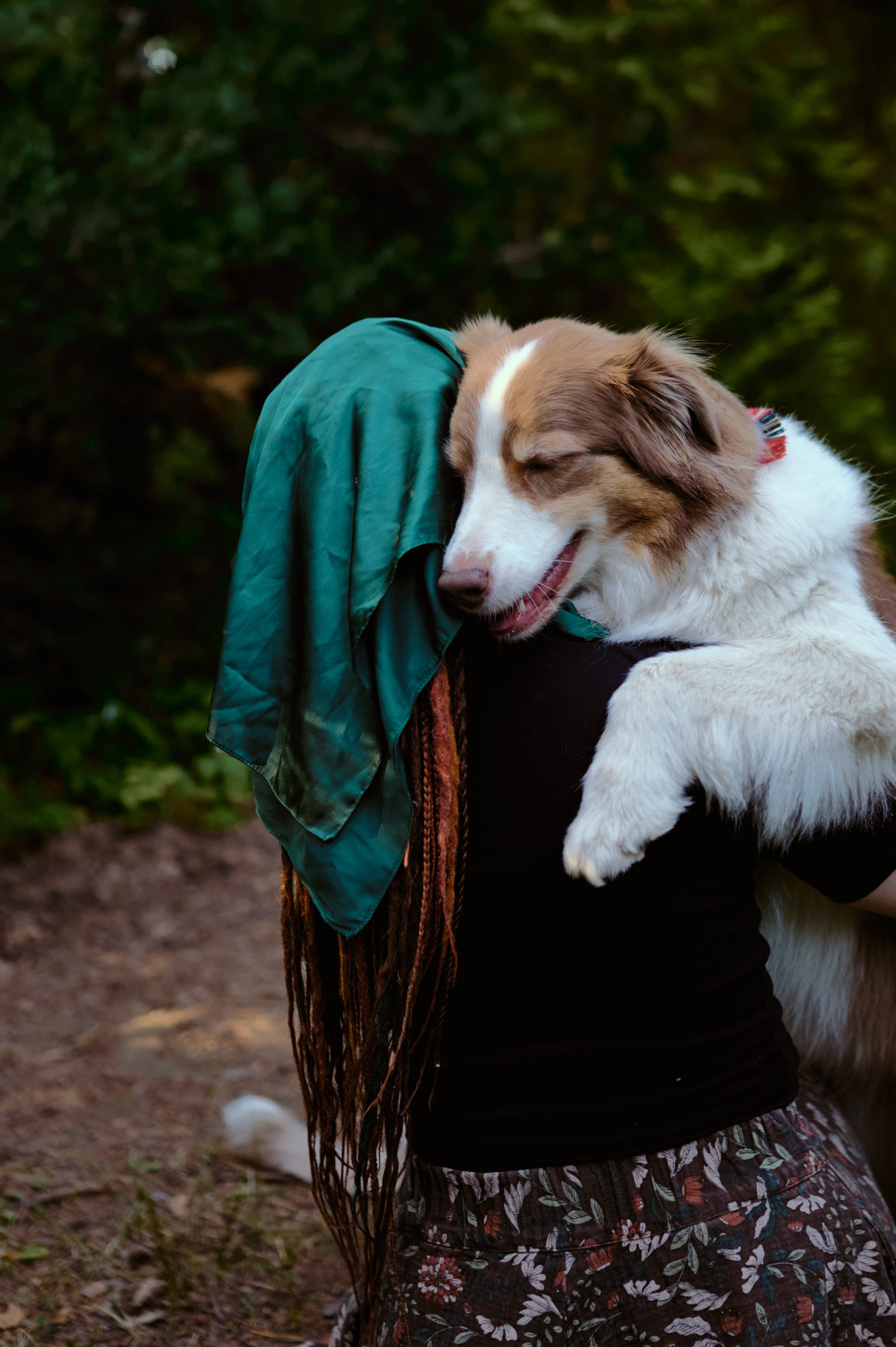 Настасья. В мастерской художника. Фотограф анималист в Казани Алина Сулейманова. Фотограф животных