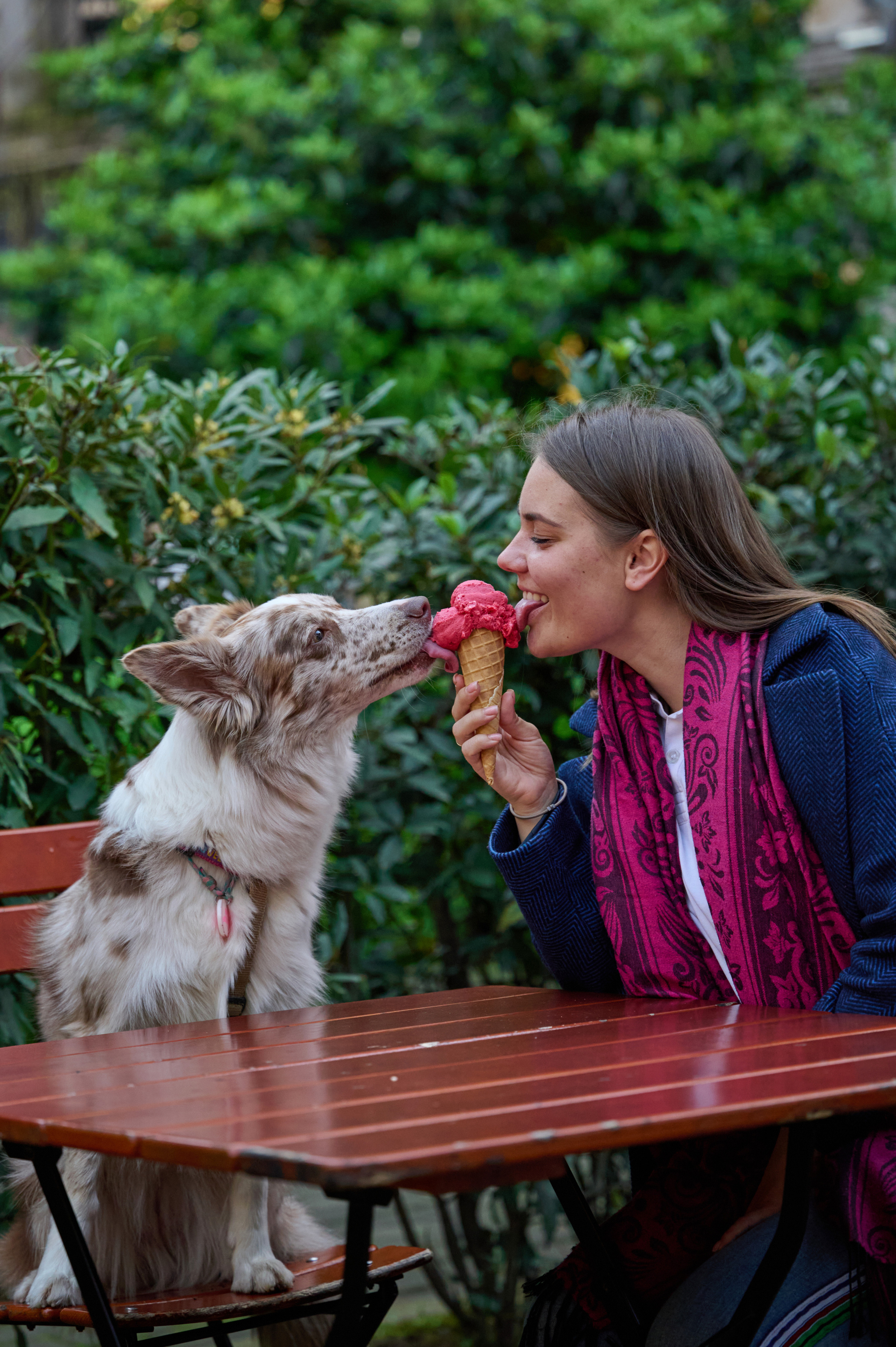 Полина и Бени. Фотограф анималист в Казани Алина Сулейманова. Фотограф животных
