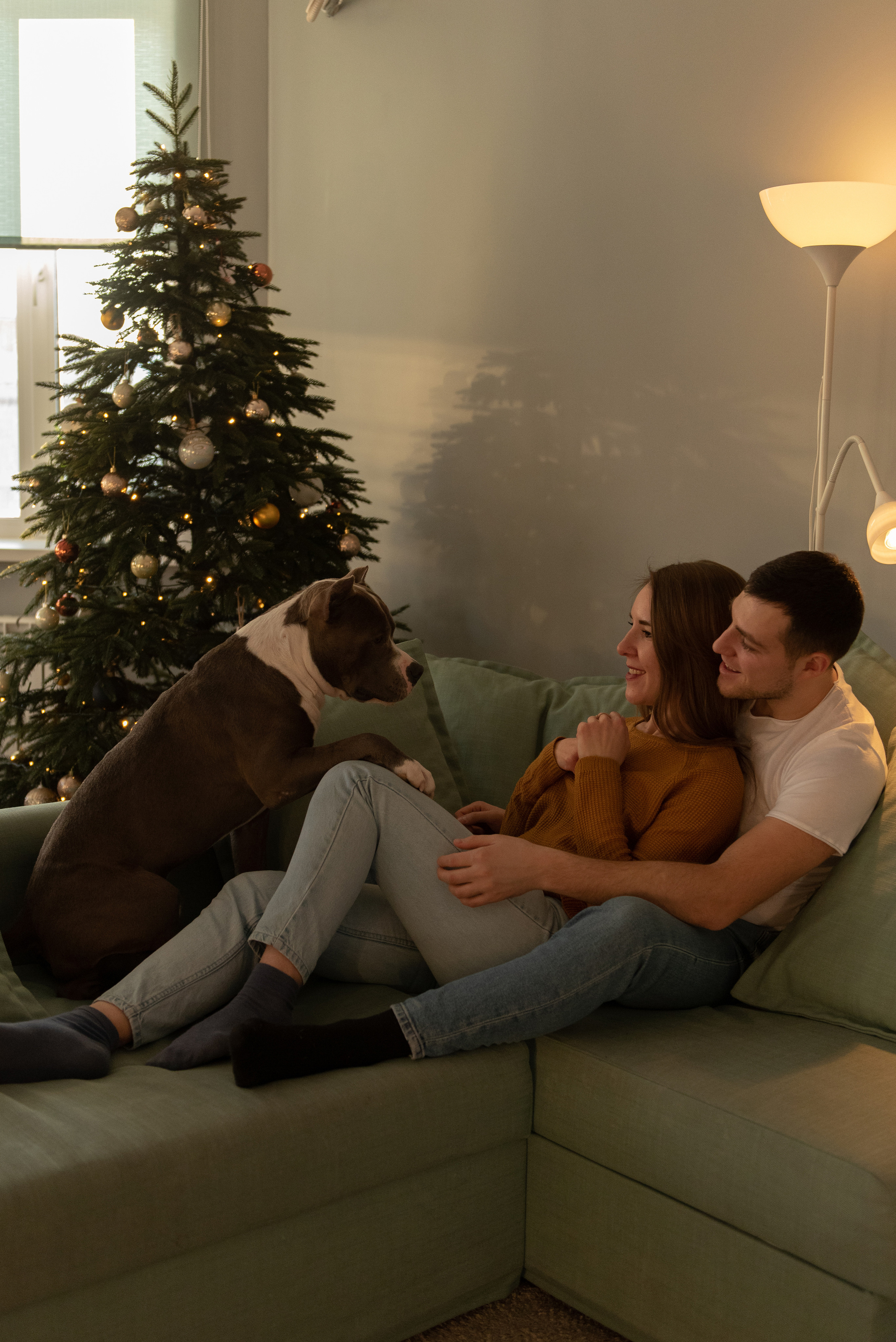 Ирина, Марат и Ричард. Фотограф анималист в Казани Алина Сулейманова. Фотограф животных