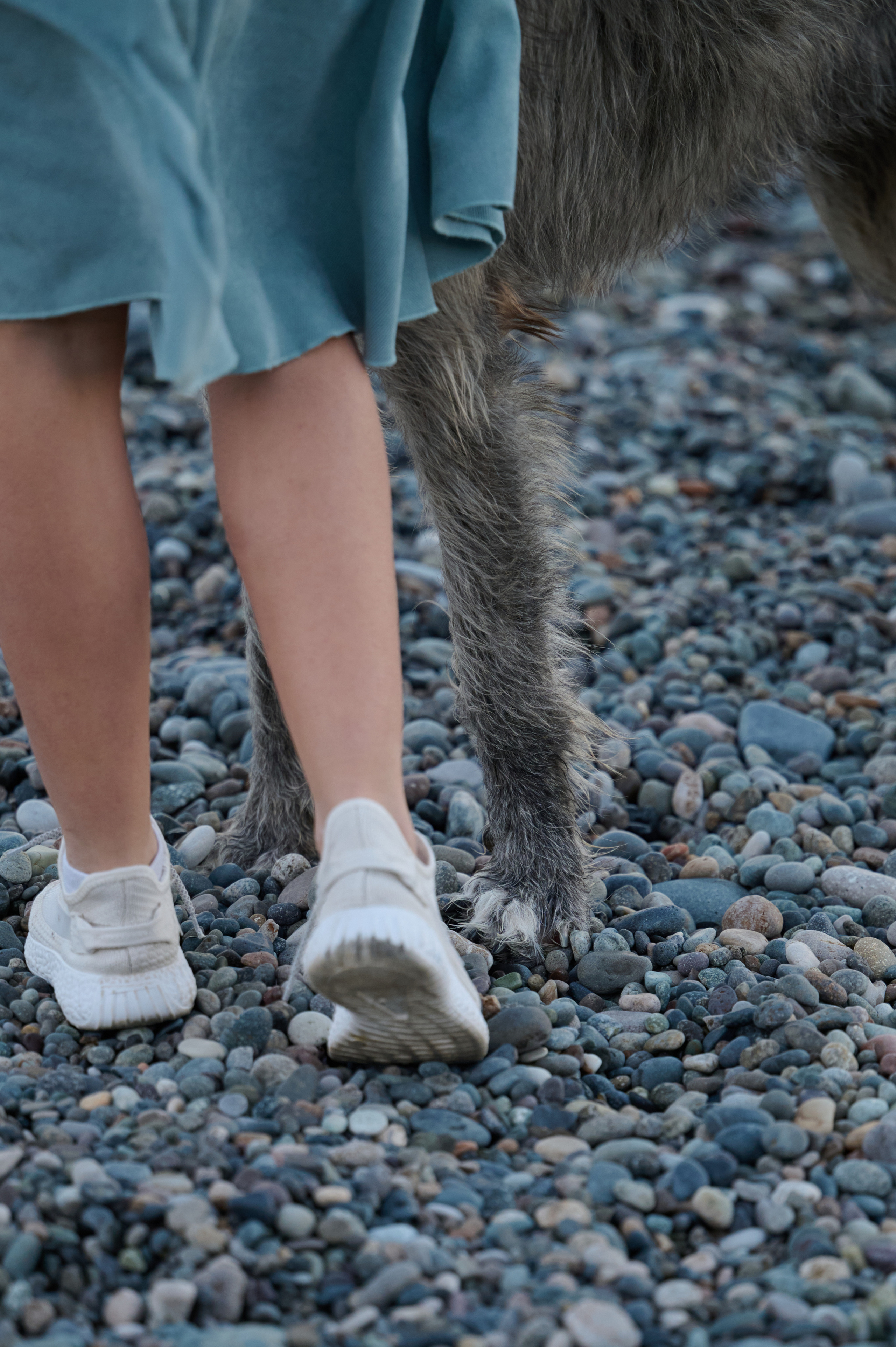 Марина и Эва. Фотограф анималист в Казани Алина Сулейманова. Фотограф животных