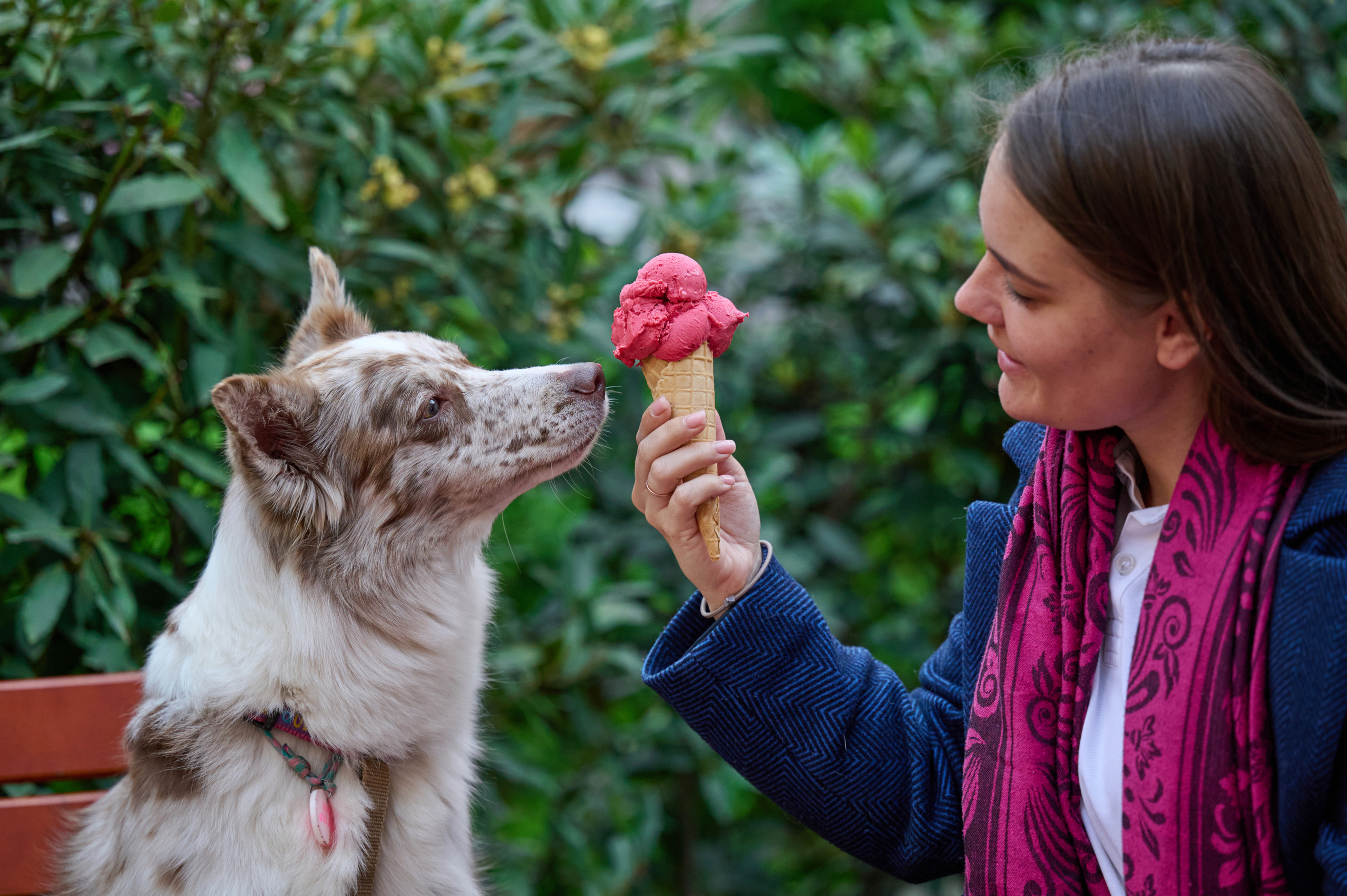 Полина и Бени. Фотограф анималист в Казани Алина Сулейманова. Фотограф животных
