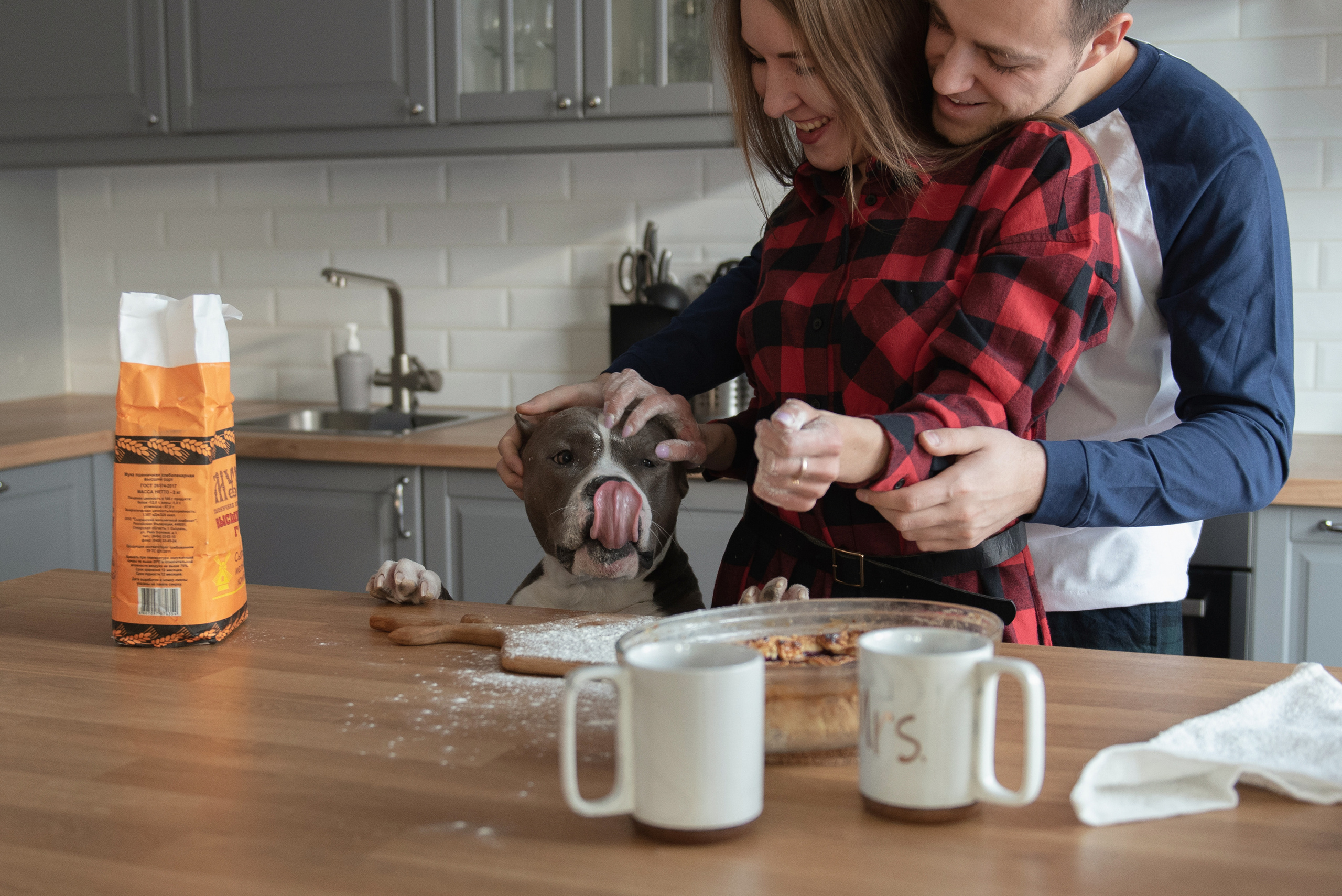Ирина, Марат и Ричард. Фотограф анималист в Казани Алина Сулейманова. Фотограф животных