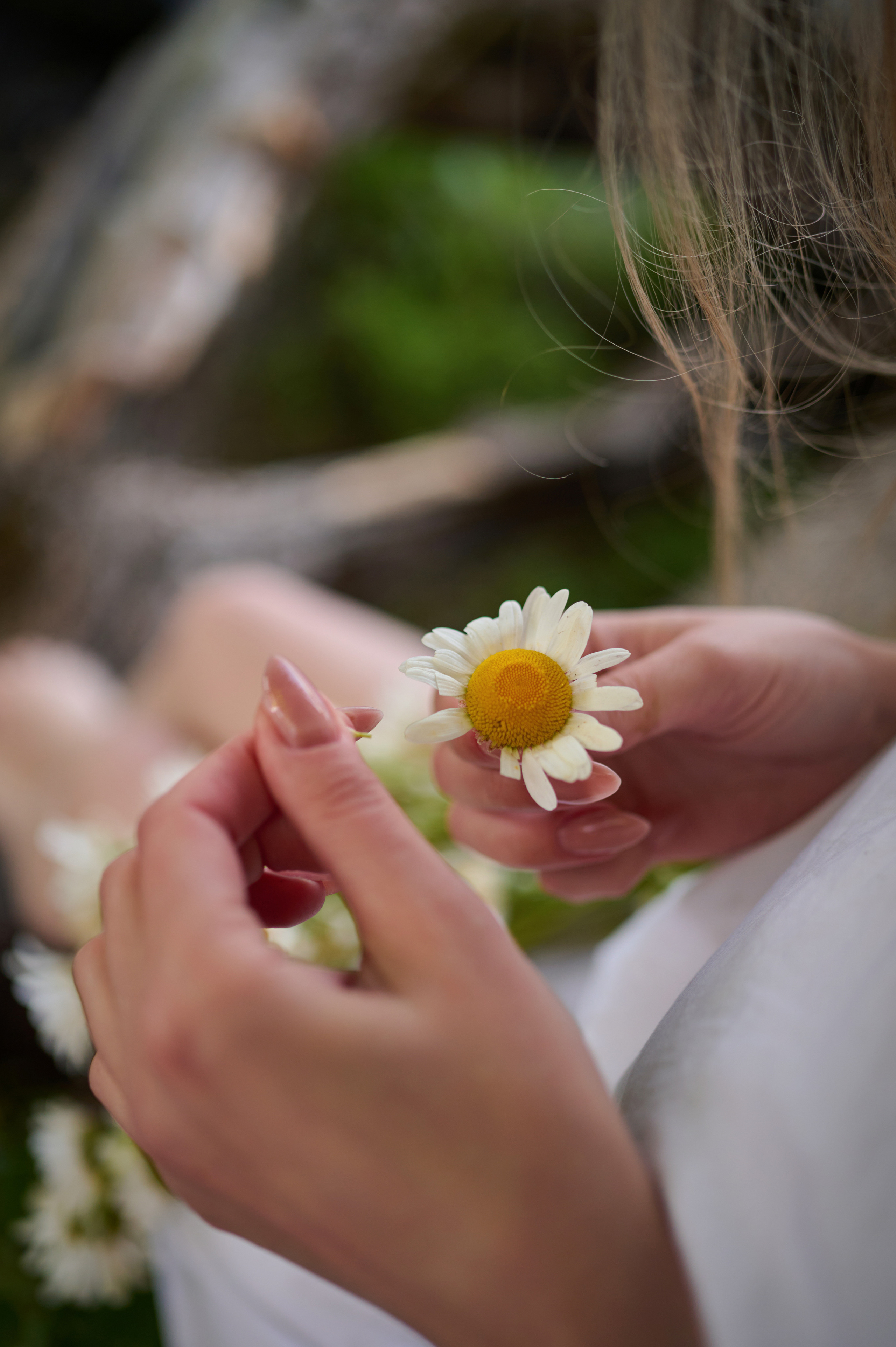 Екатерина. На заре. Фотограф анималист в Казани Алина Сулейманова. Фотограф животных