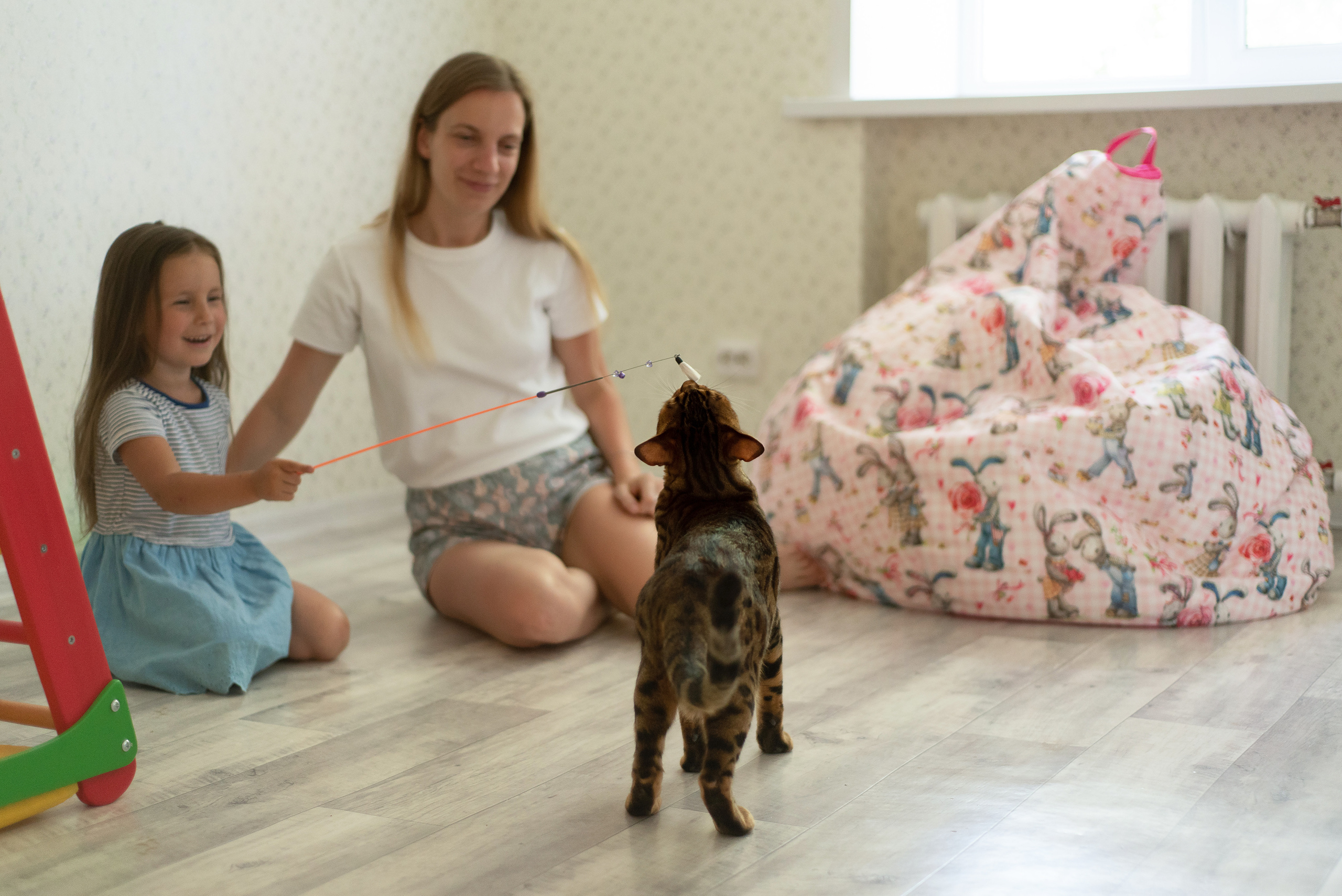 Надя и Вера. Фотограф анималист в Казани Алина Сулейманова. Фотограф животных