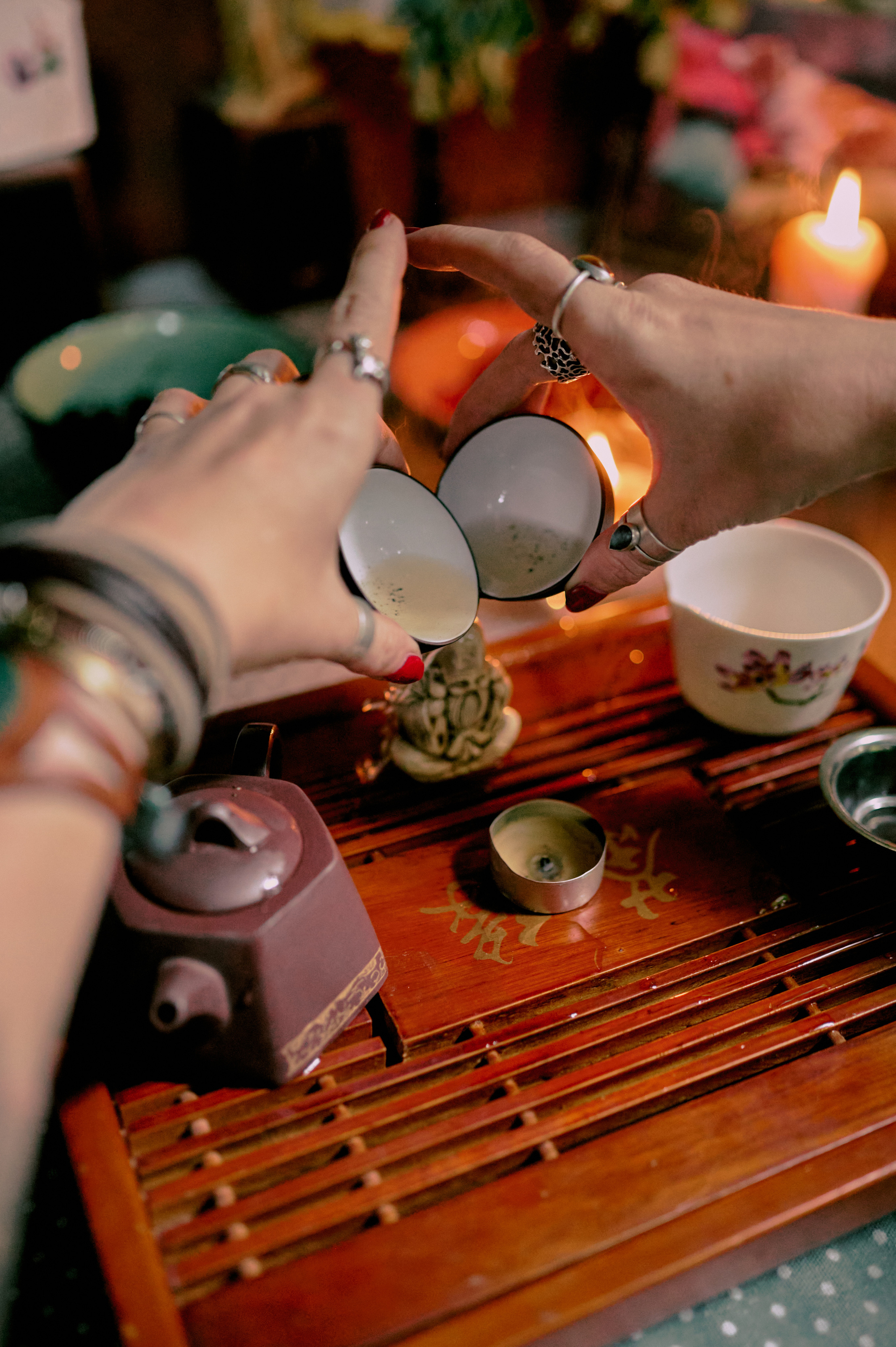 Настасья. В мастерской художника. Фотограф анималист в Казани Алина Сулейманова. Фотограф животных