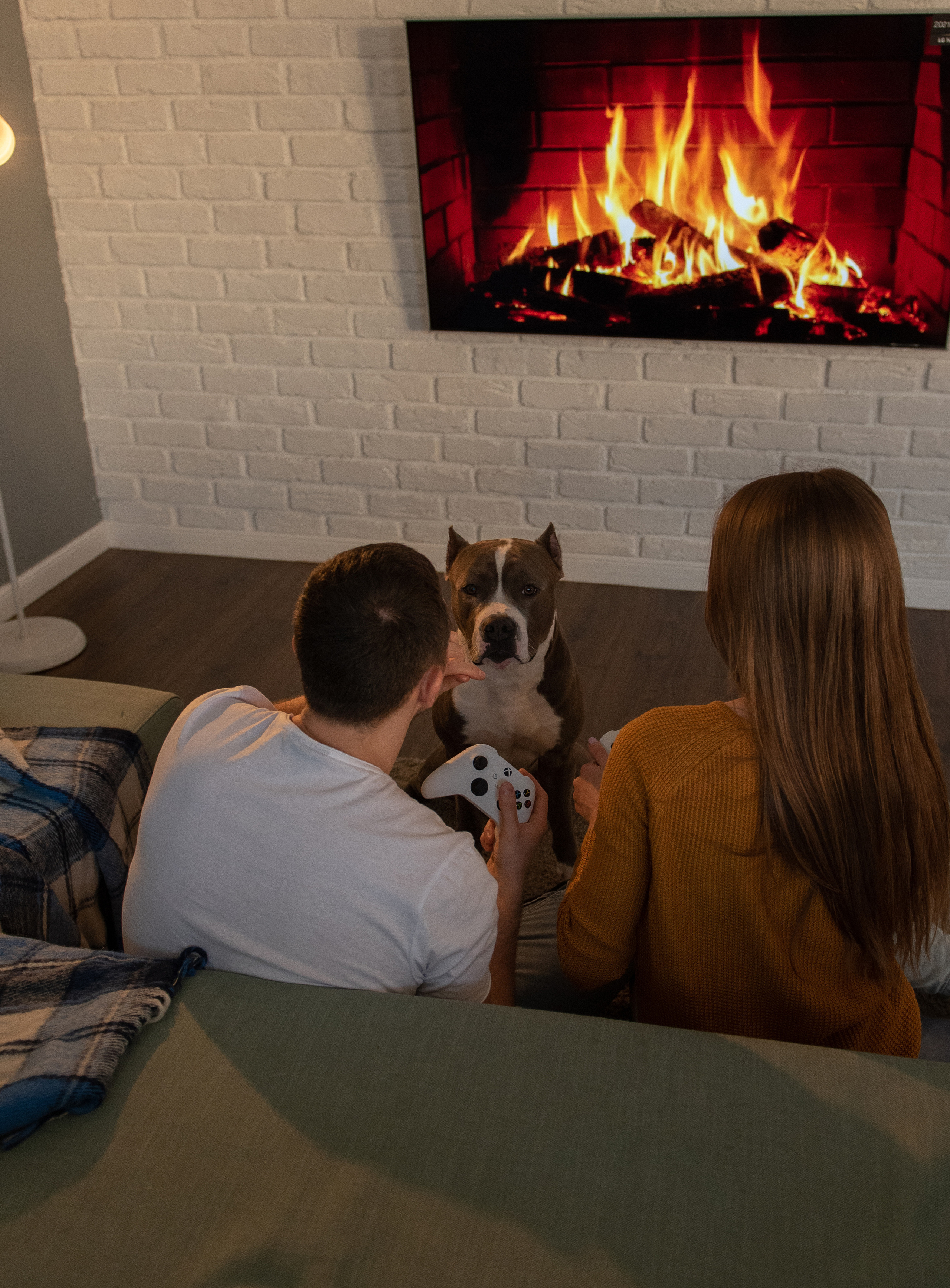 Ирина, Марат и Ричард. Фотограф анималист в Казани Алина Сулейманова. Фотограф животных