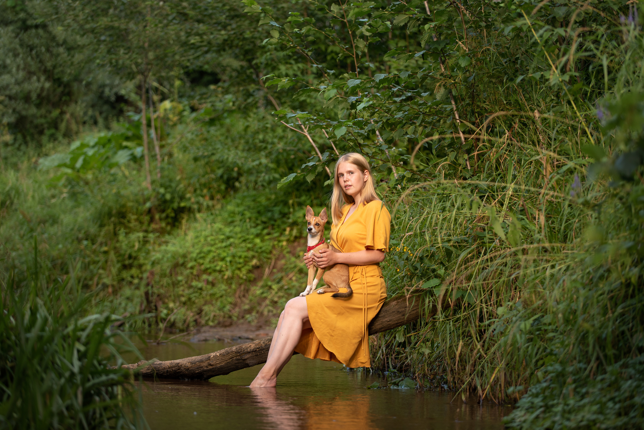 Настя. У ручья. Фотограф анималист в Казани Алина Сулейманова. Фотограф животных
