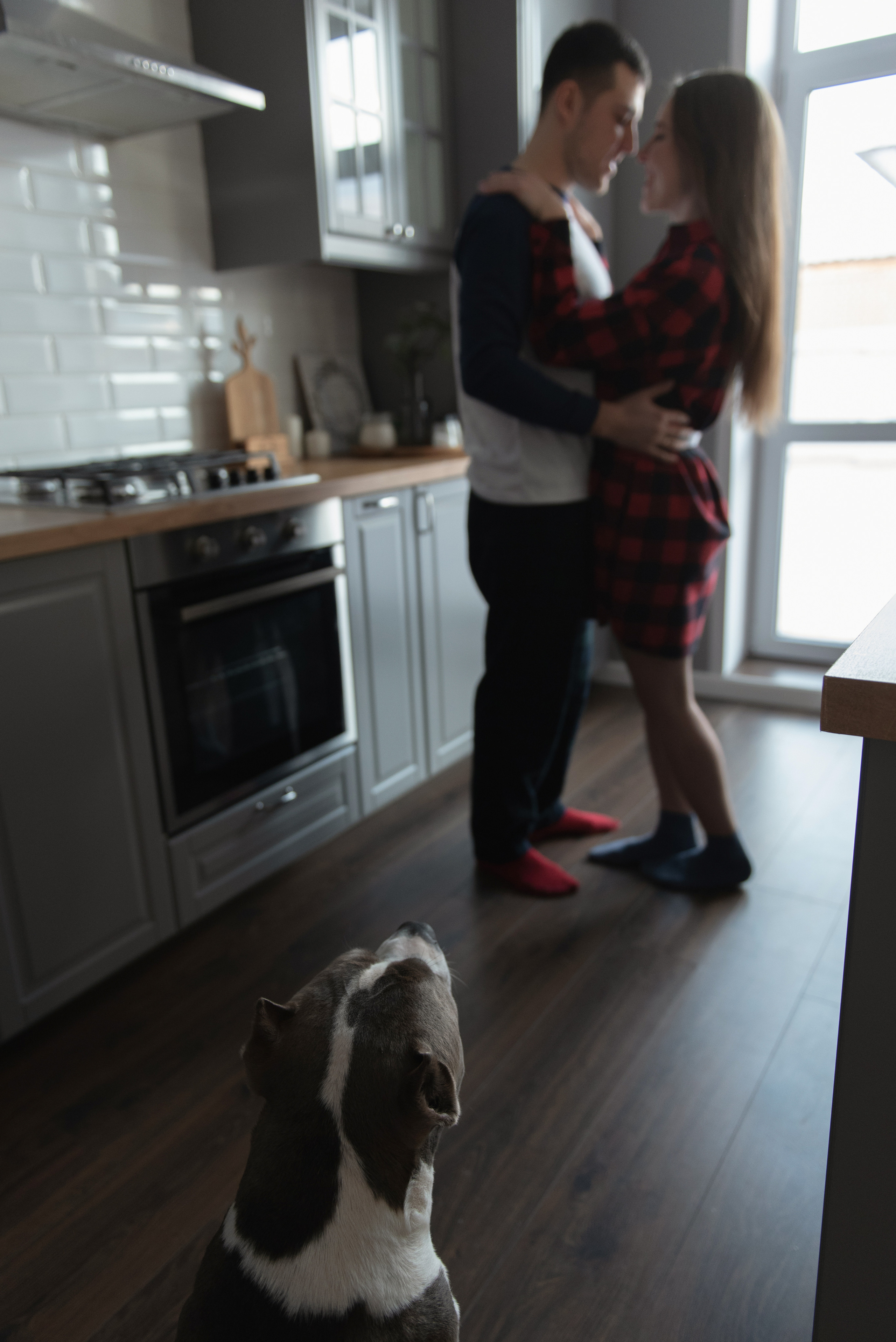 Ирина, Марат и Ричард. Фотограф анималист в Казани Алина Сулейманова. Фотограф животных