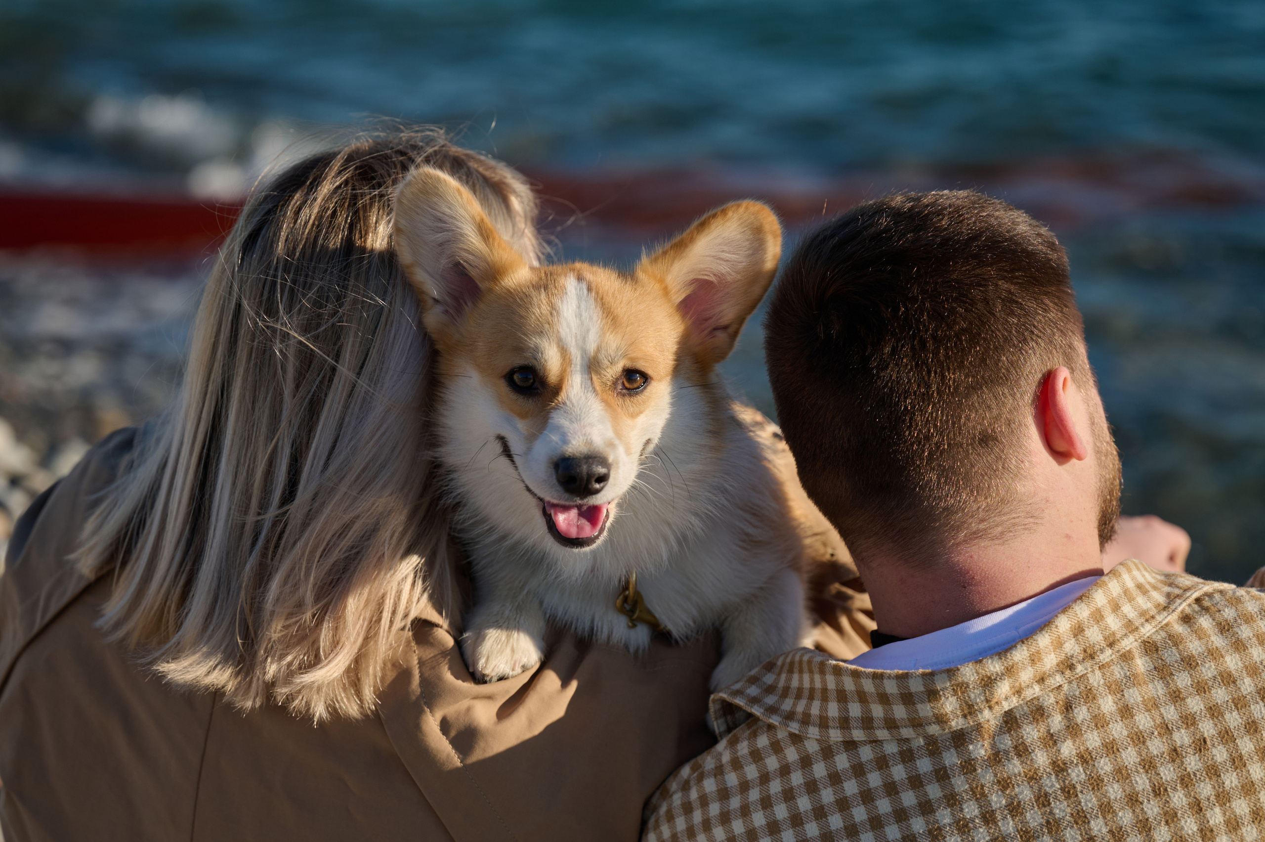 Катя, Данил и Деби. Фотограф анималист в Казани Алина Сулейманова. Фотограф животных