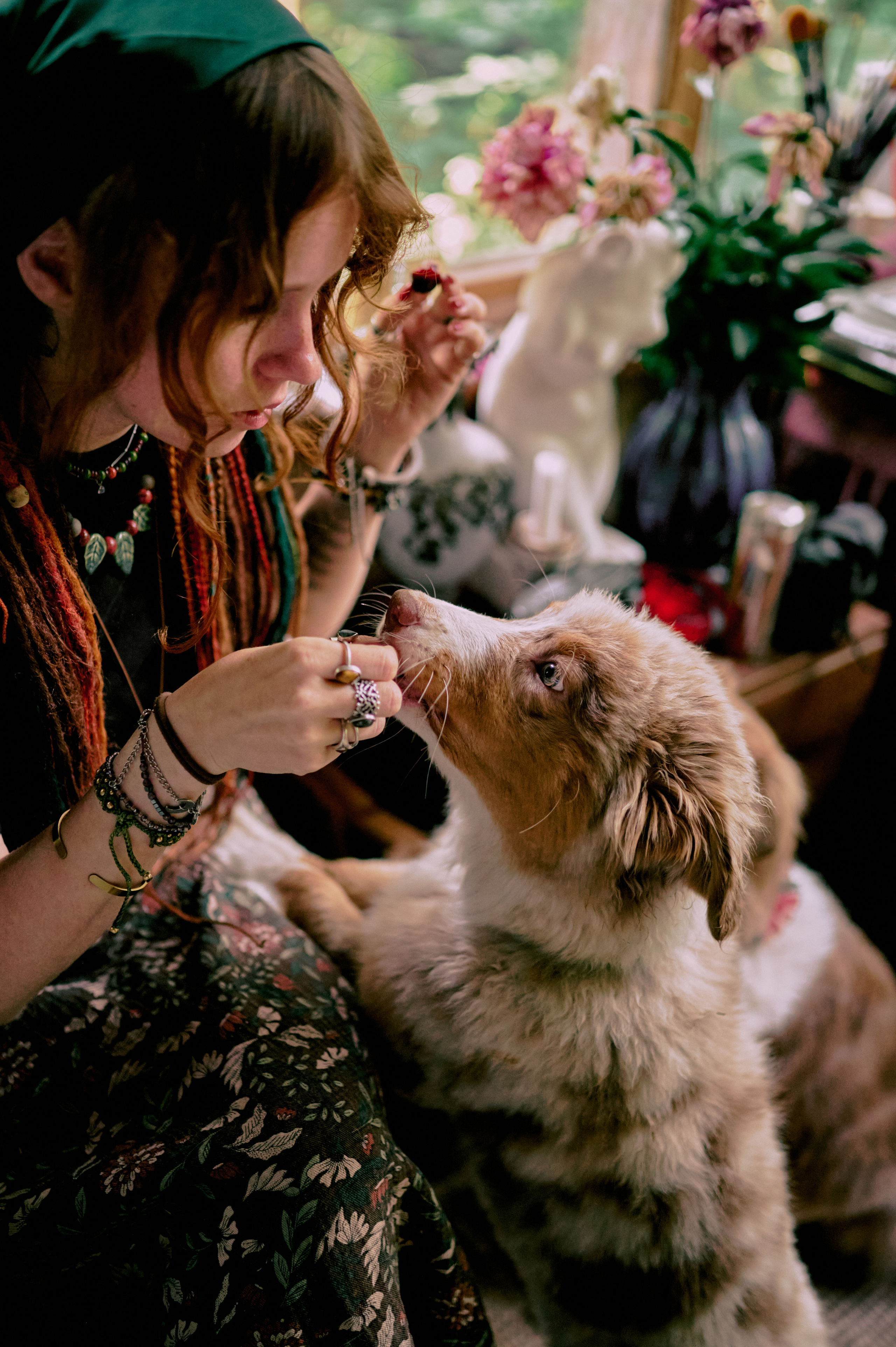 Настасья. В мастерской художника. Фотограф анималист в Казани Алина Сулейманова. Фотограф животных