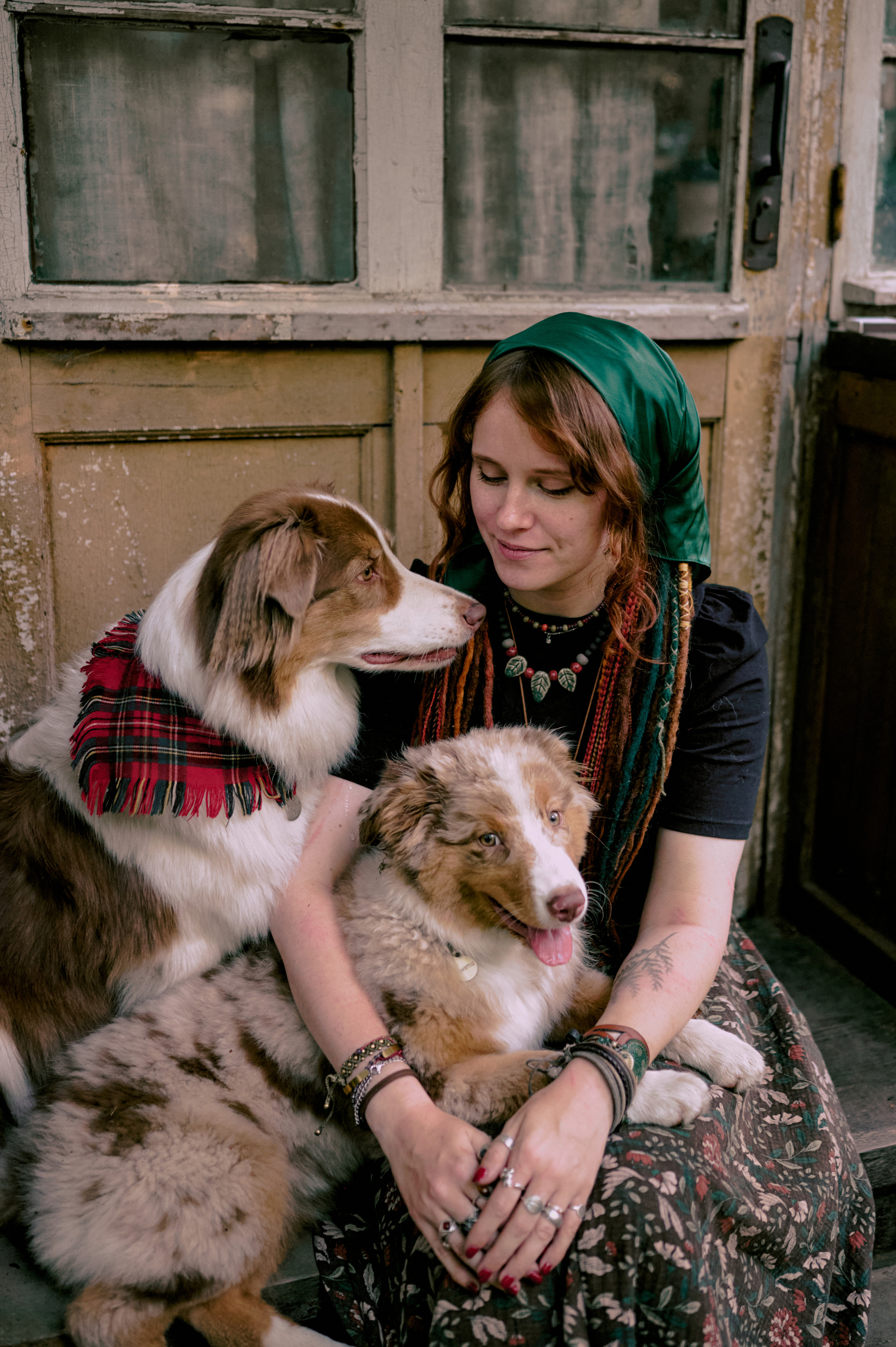 Настасья. В мастерской художника. Фотограф анималист в Казани Алина Сулейманова. Фотограф животных